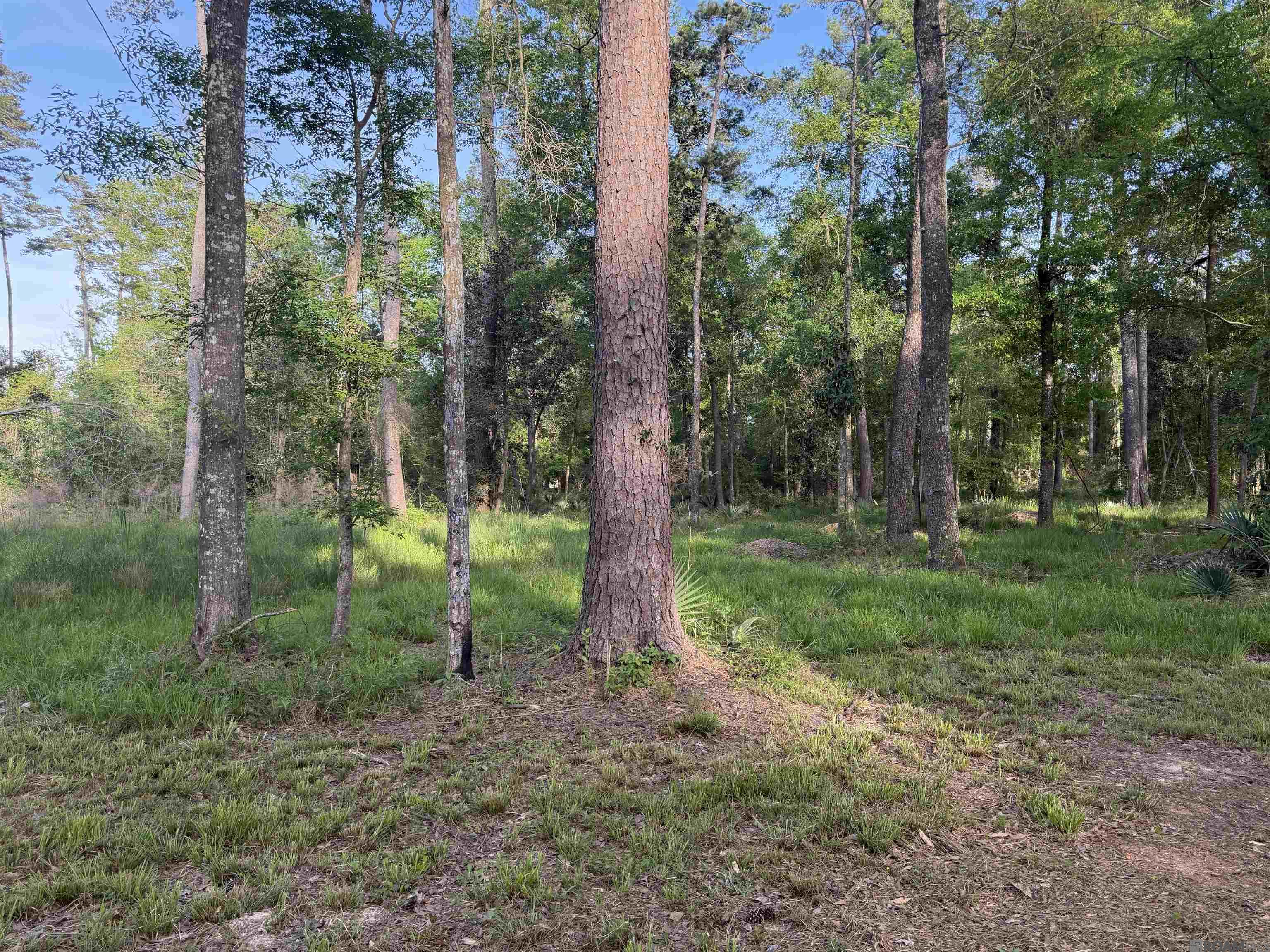 7054 Panama Manor Drive, Gonzales, LA, 70737