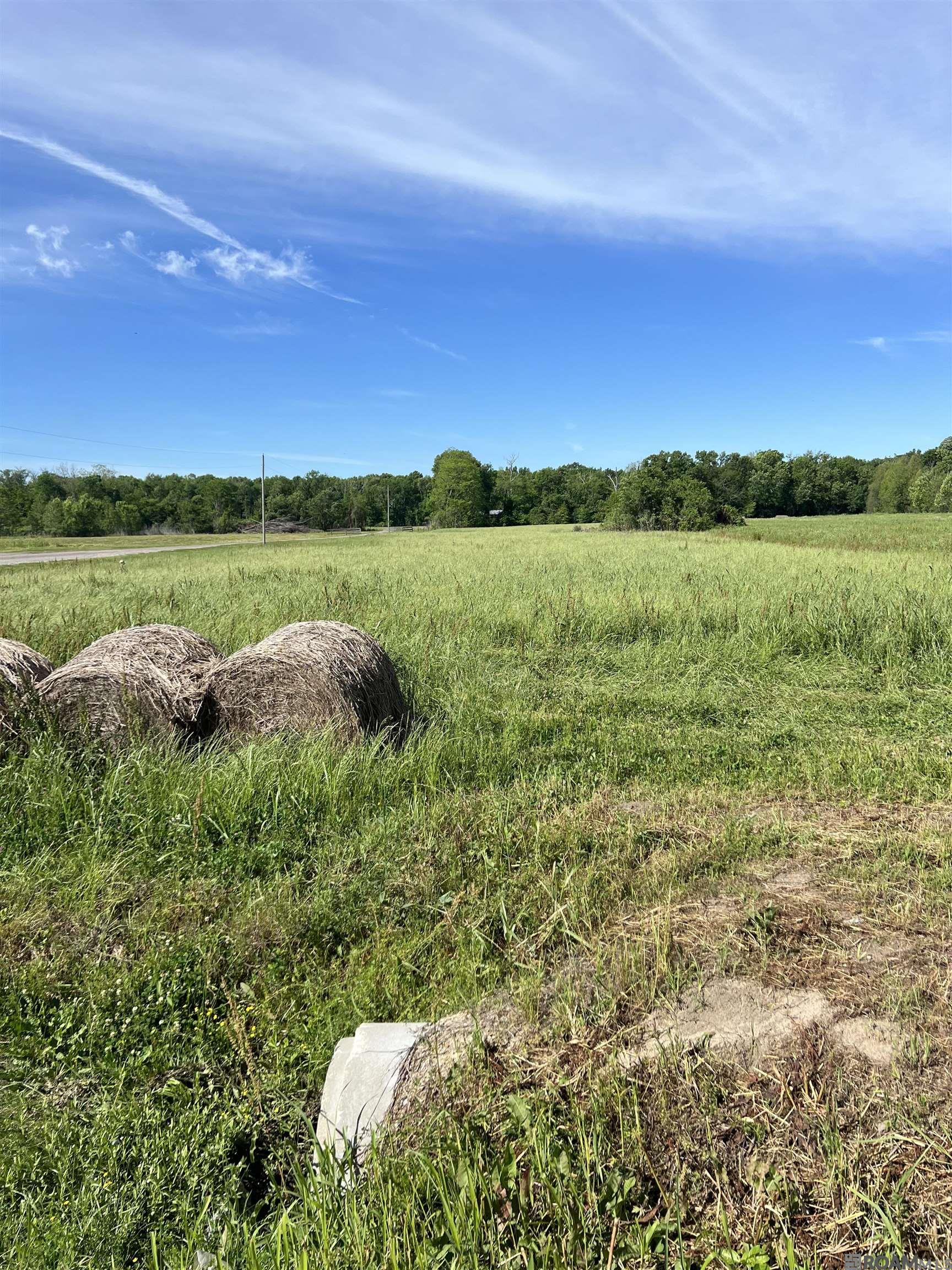 7054 Panama Manor Drive, Gonzales, LA, 70737