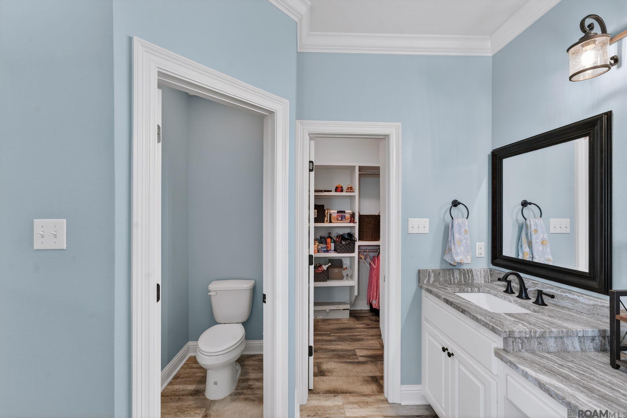 12163 Deventer Dr, Geismar, LA, 70734