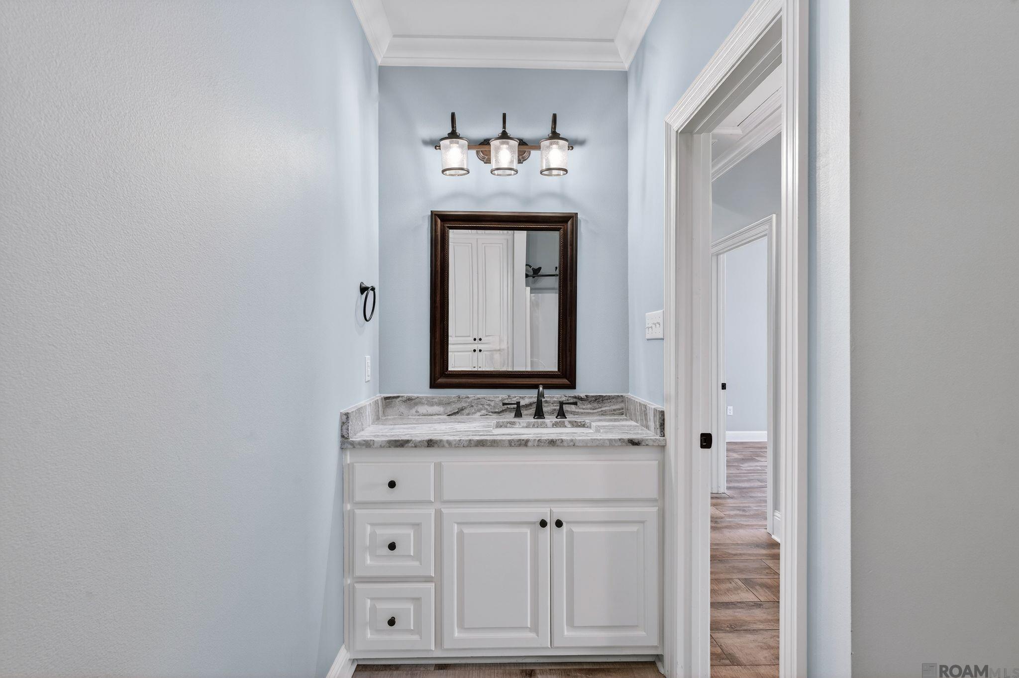 12163 Deventer Dr, Geismar, LA, 70734