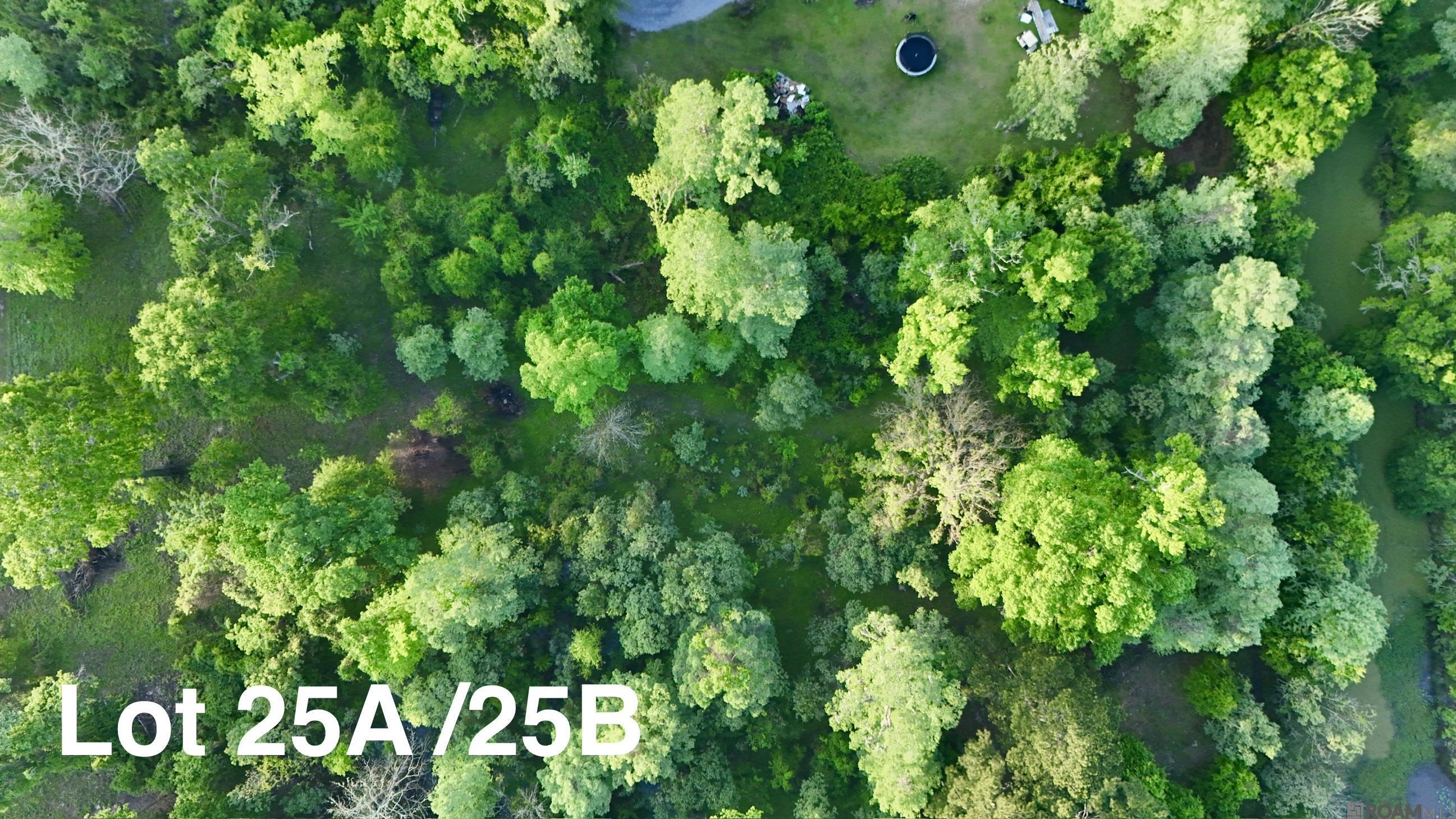 7054 Panama Manor Drive, Gonzales, LA, 70737