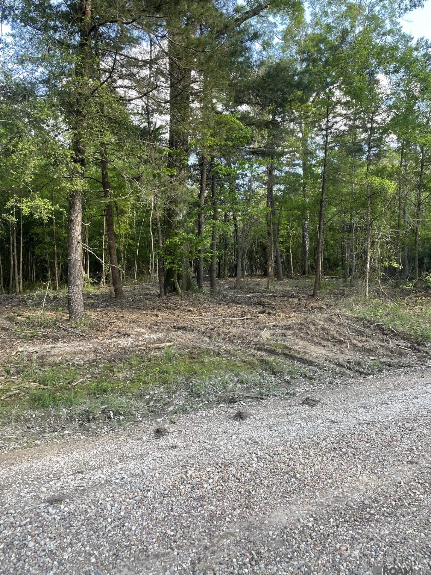 7054 Panama Manor Drive, Gonzales, LA, 70737