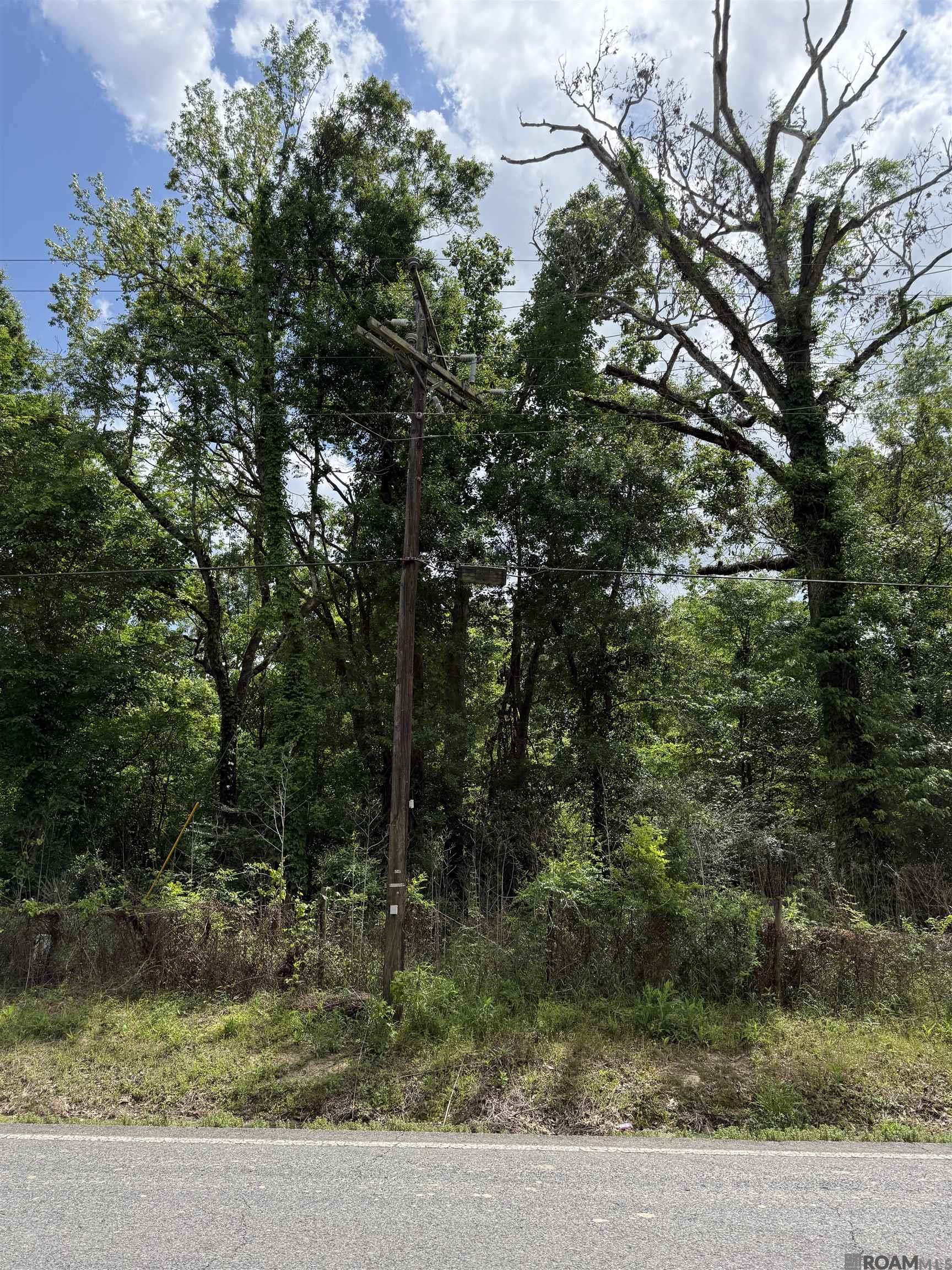 TBD Bayou Narcisse, Gonzales, LA, 70737