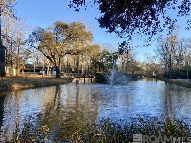 8310 Oakbrook Dr, Baton Rouge, LA, 70810