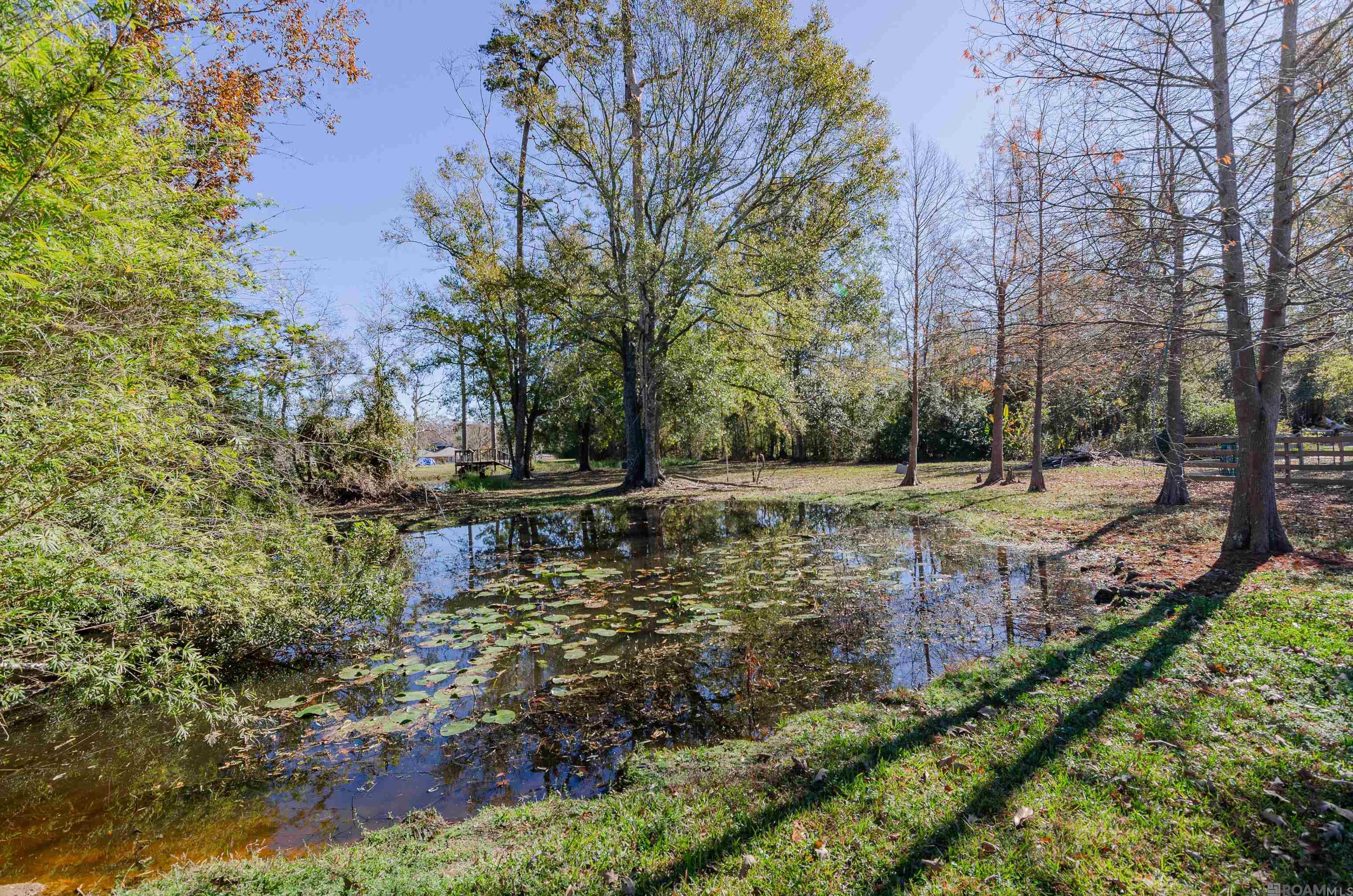 20452 Camille Dr, Springfield, LA, 70462