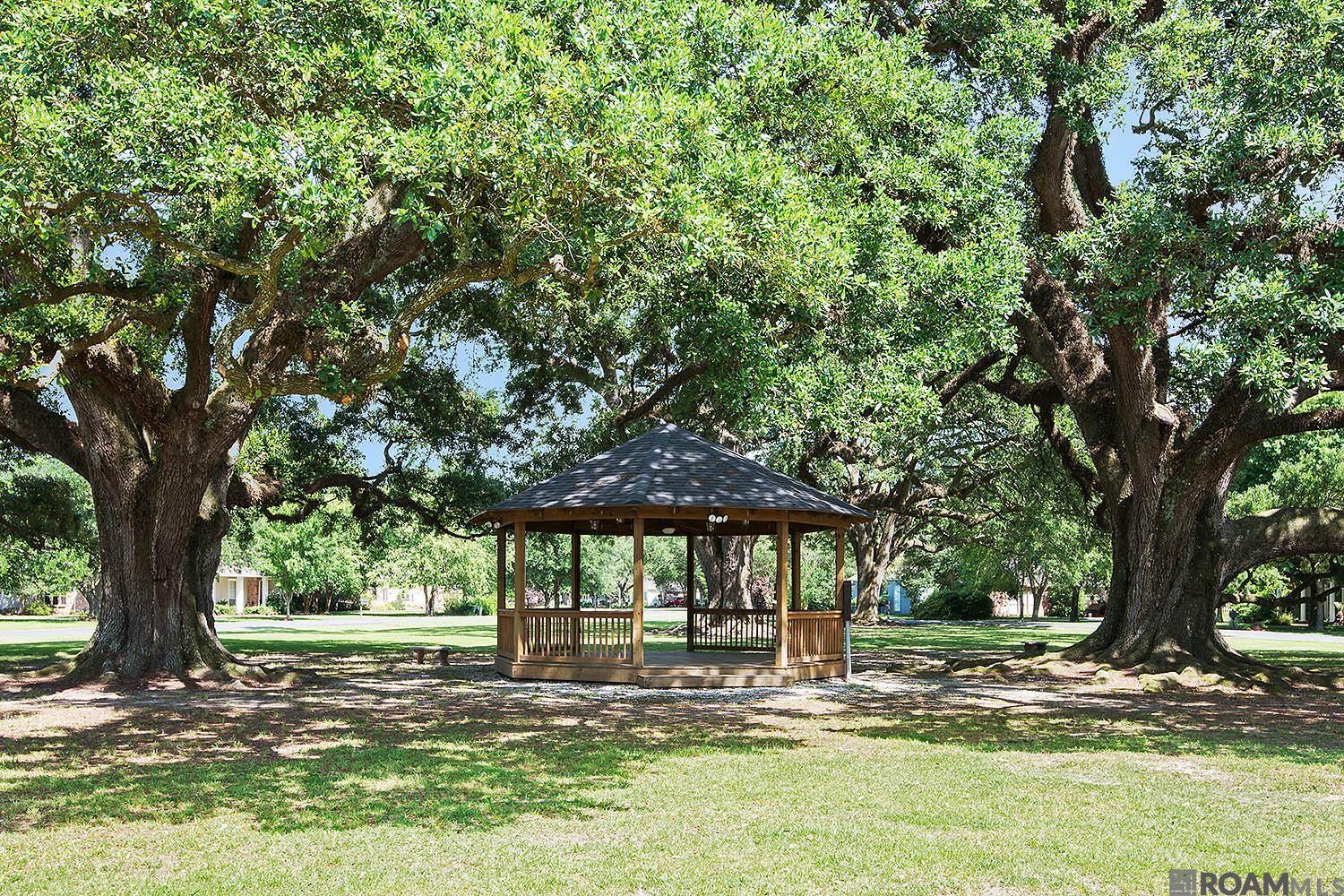 38138 Seven Oaks Ave, Prairieville, LA, 70769