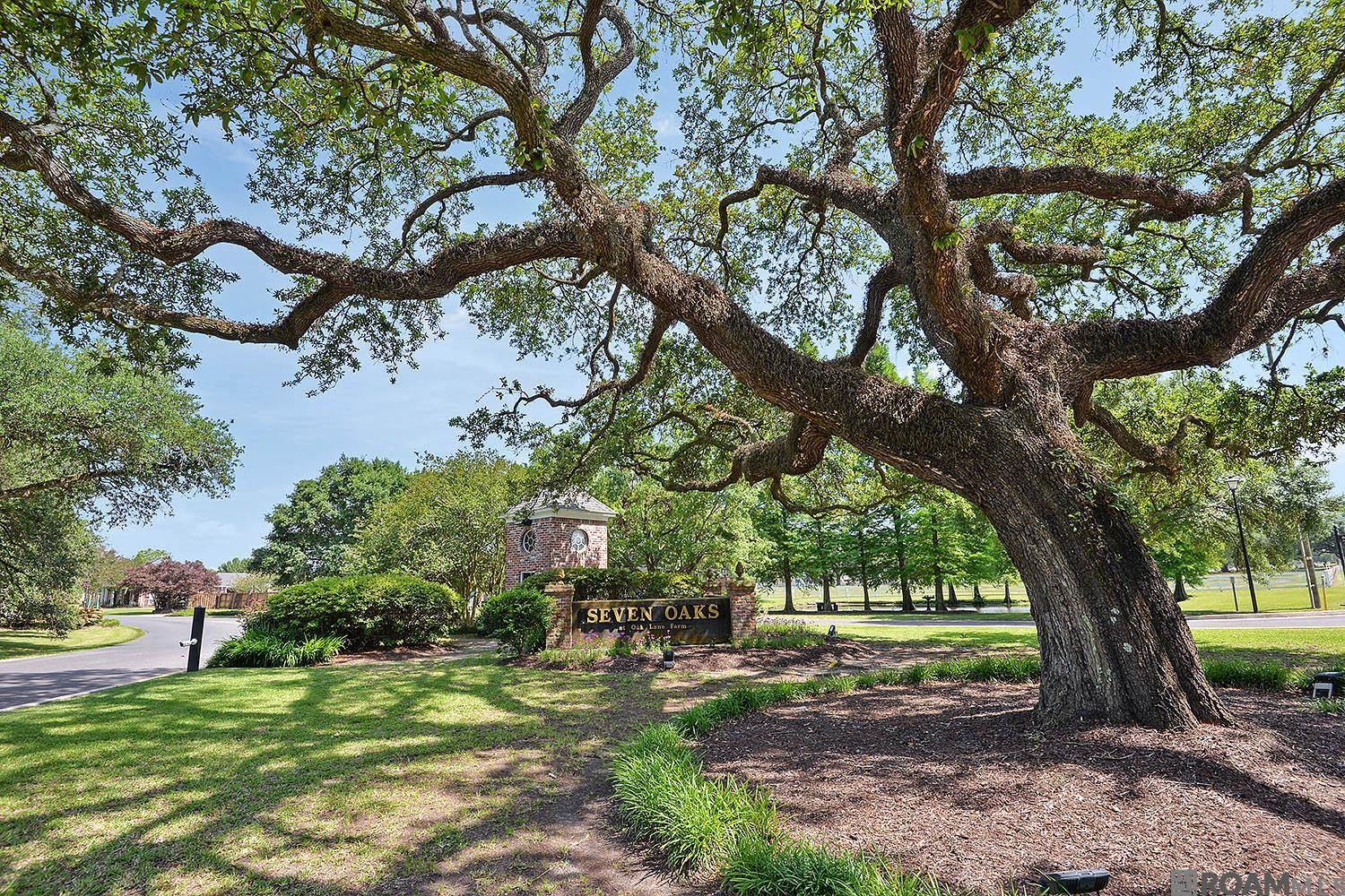 38138 Seven Oaks Ave, Prairieville, LA, 70769