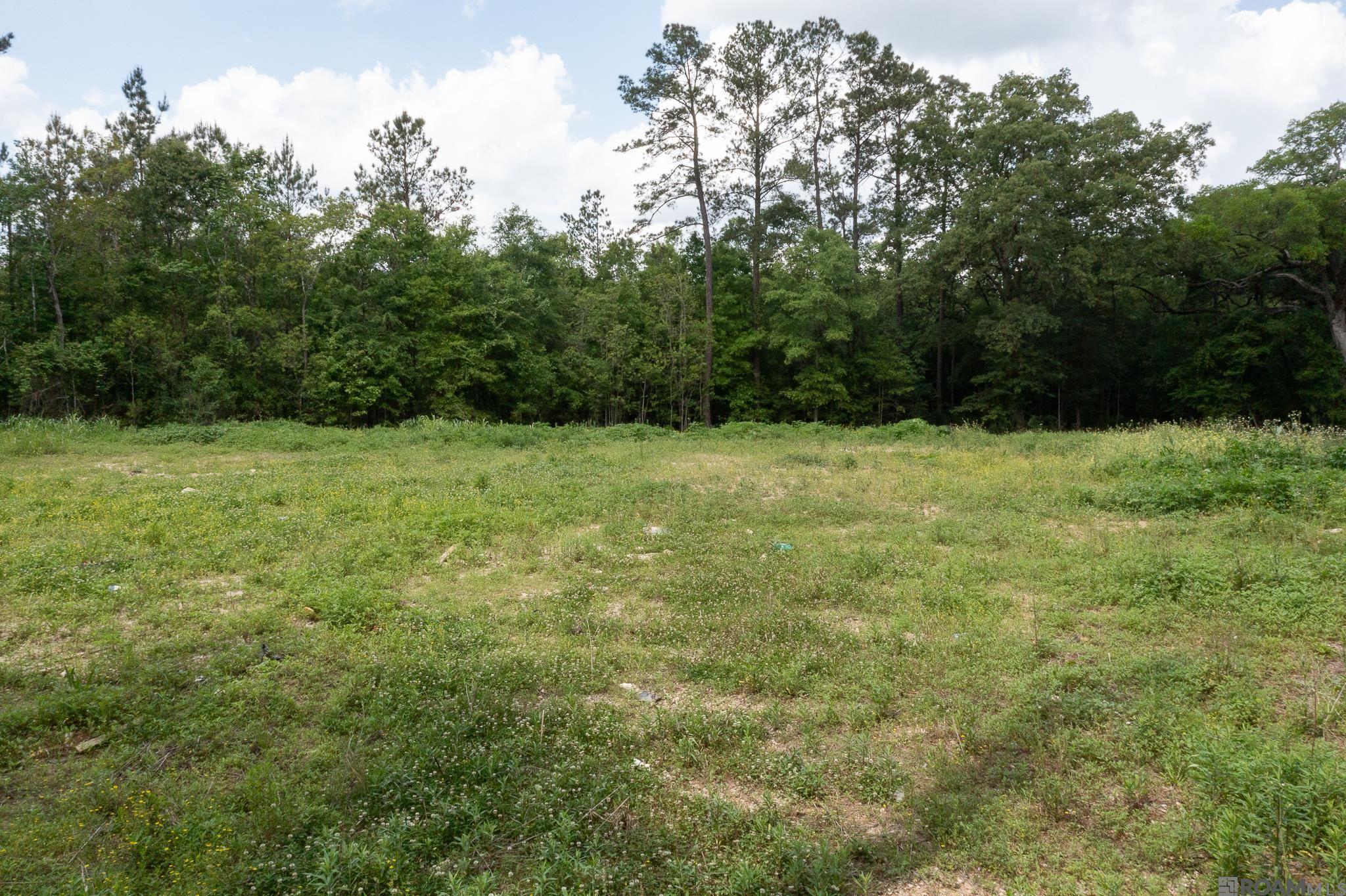 TBD Le Belle Maison Drive, Raceland, LA, 70394