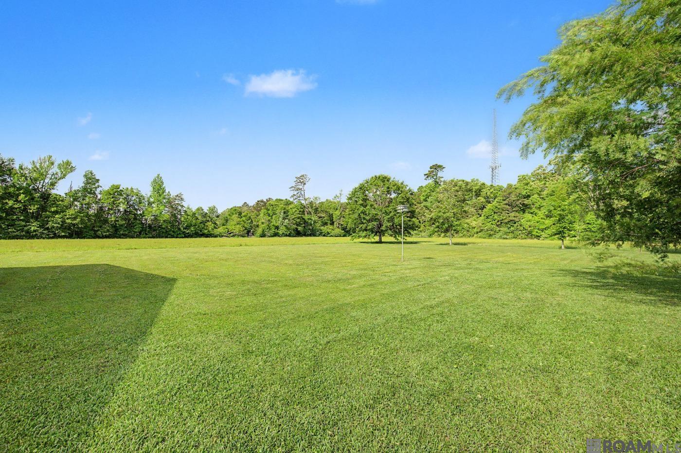 31868 Myers Rd, Denham Springs, LA, 70726