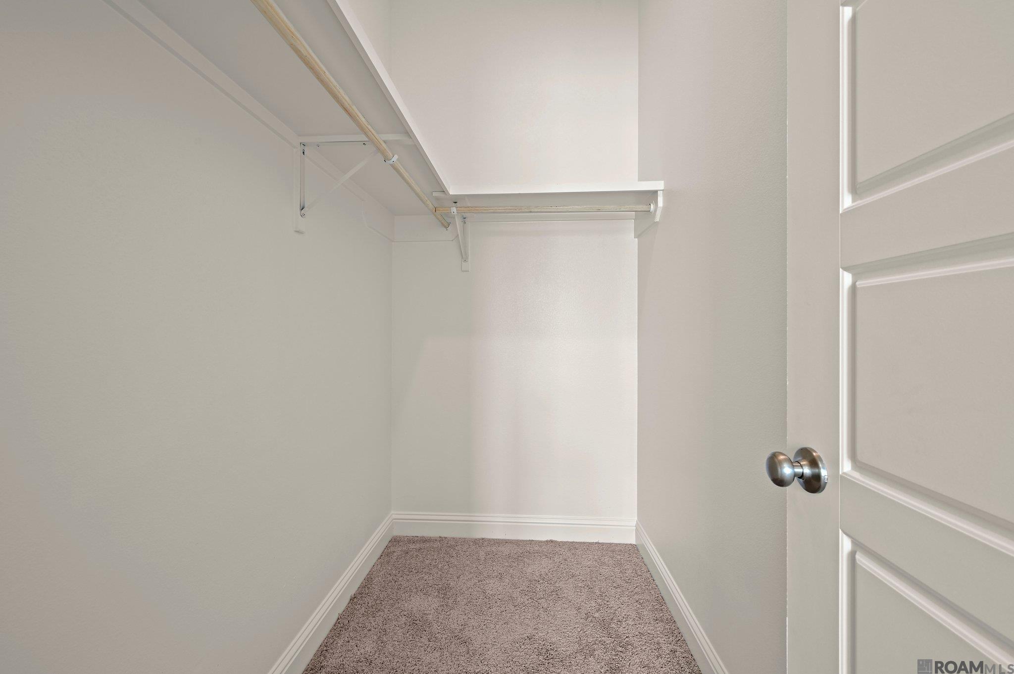 37273 Cattle Ave, Prairieville, LA, 70769