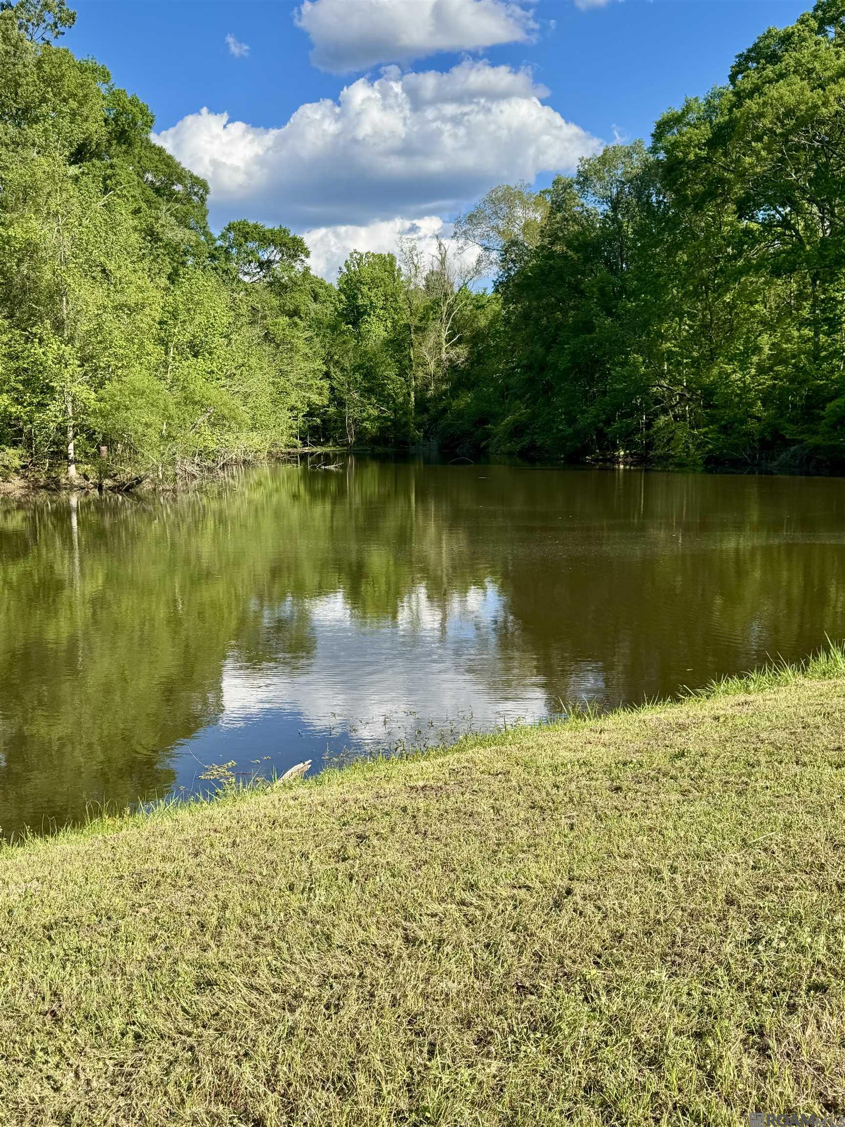 3373 Highway 24, Woodville, MS, 39669