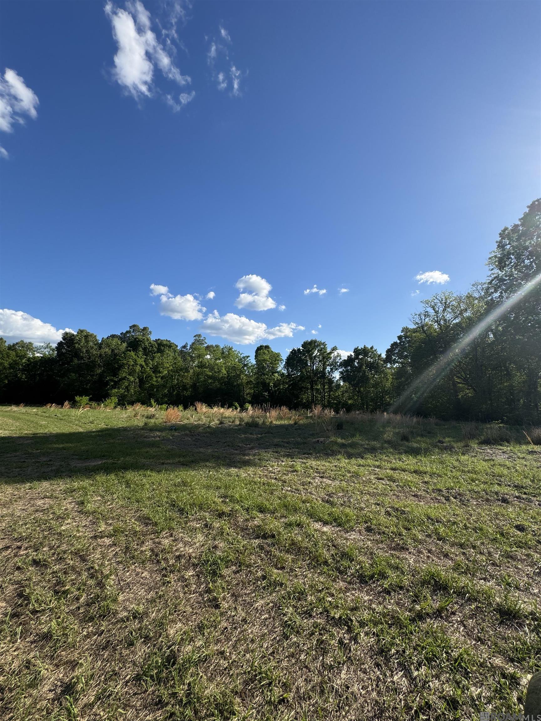 3373 Highway 24, Woodville, MS, 39669