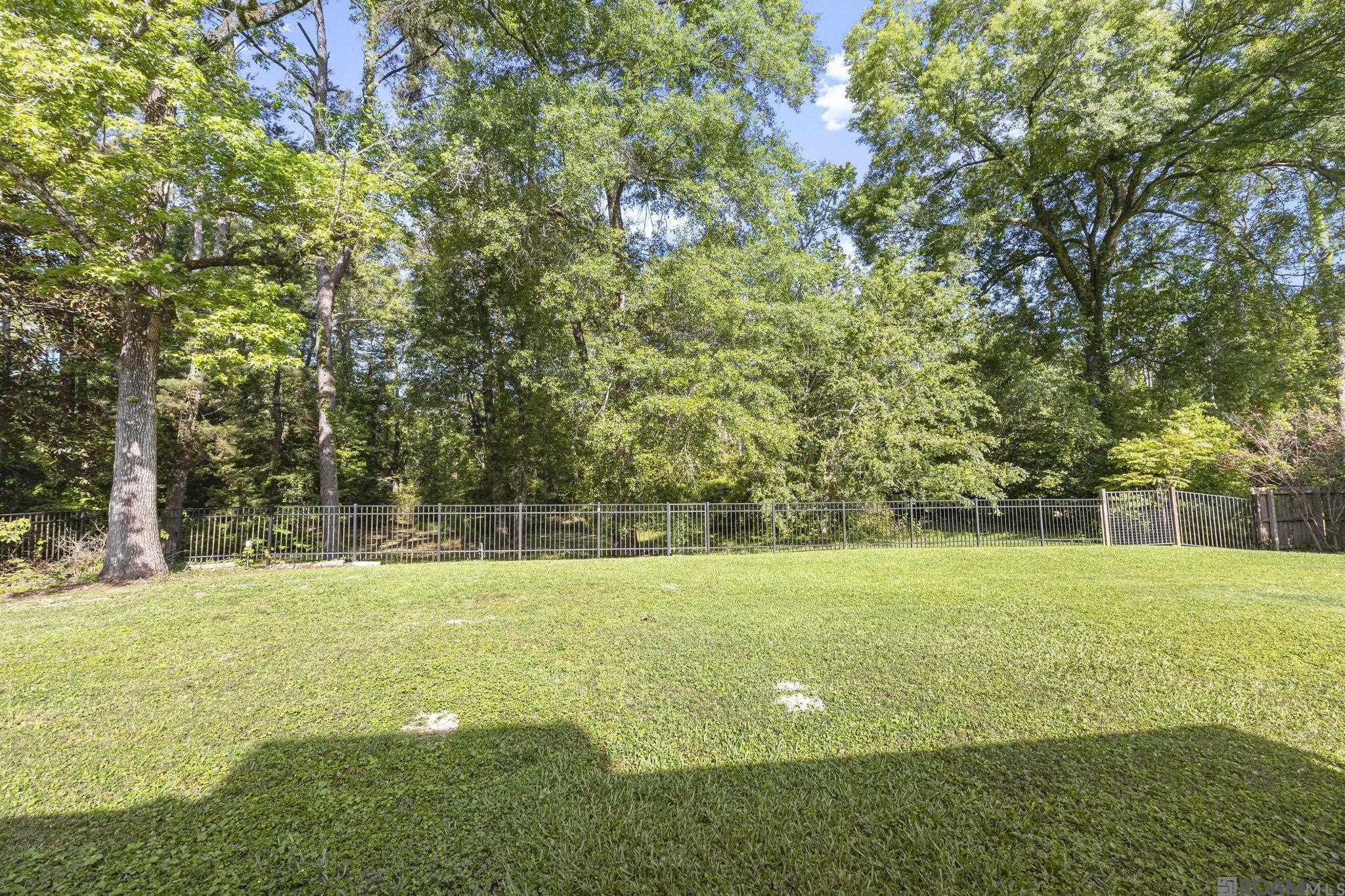 15503 Chaumont Ave, Greenwell Springs, LA, 70739