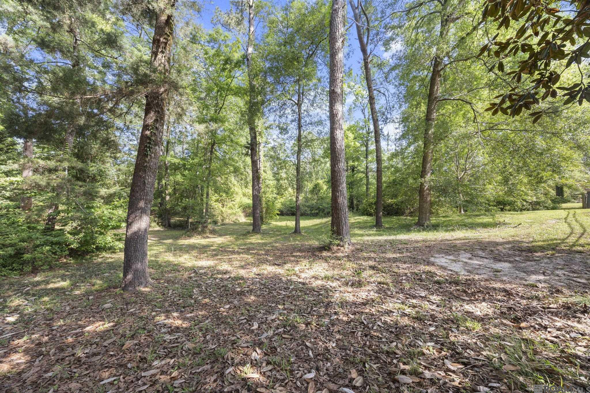 15503 Chaumont Ave, Greenwell Springs, LA, 70739