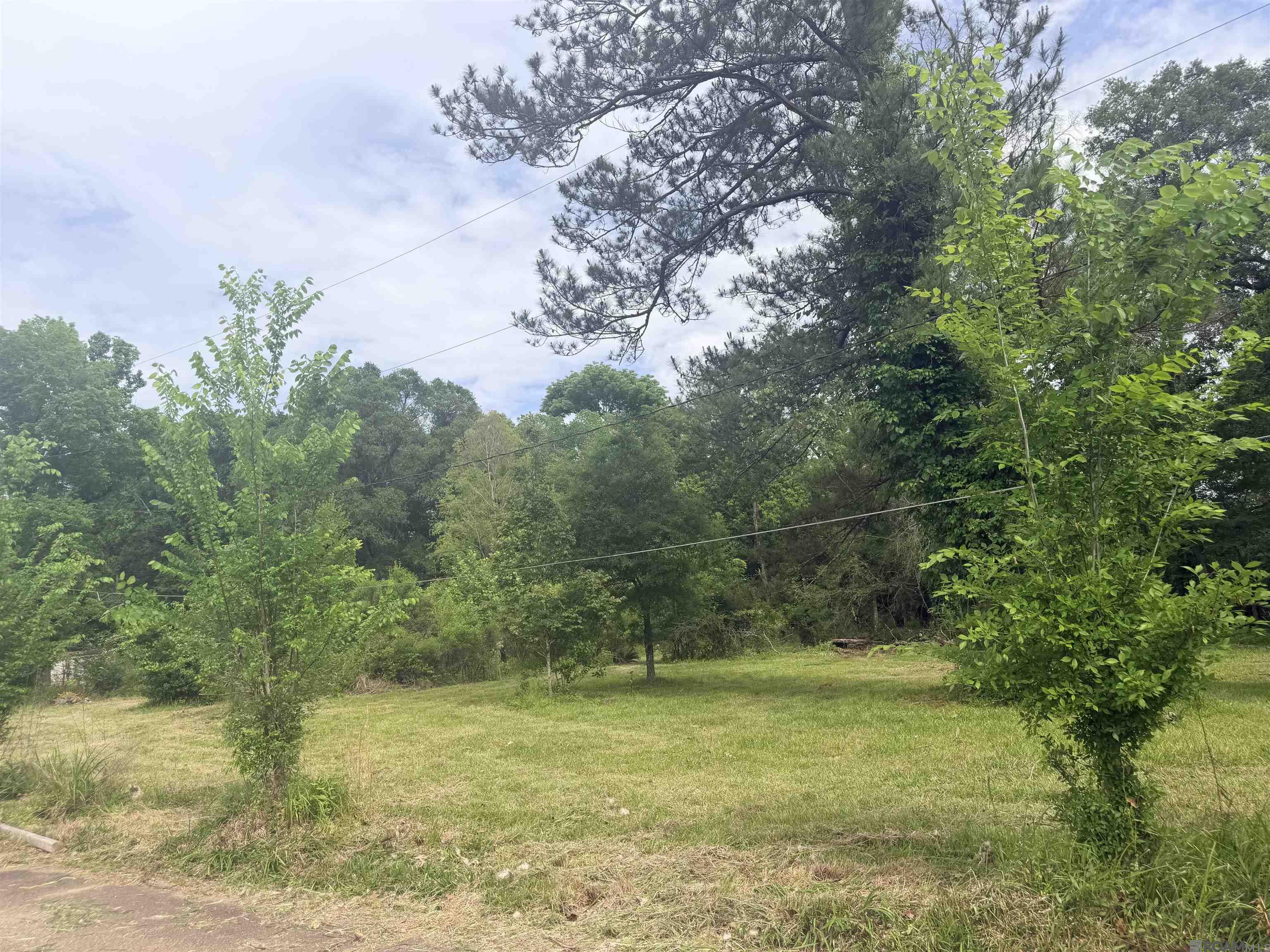 Lot 5 Honey Grove, Livingston, LA, 70754