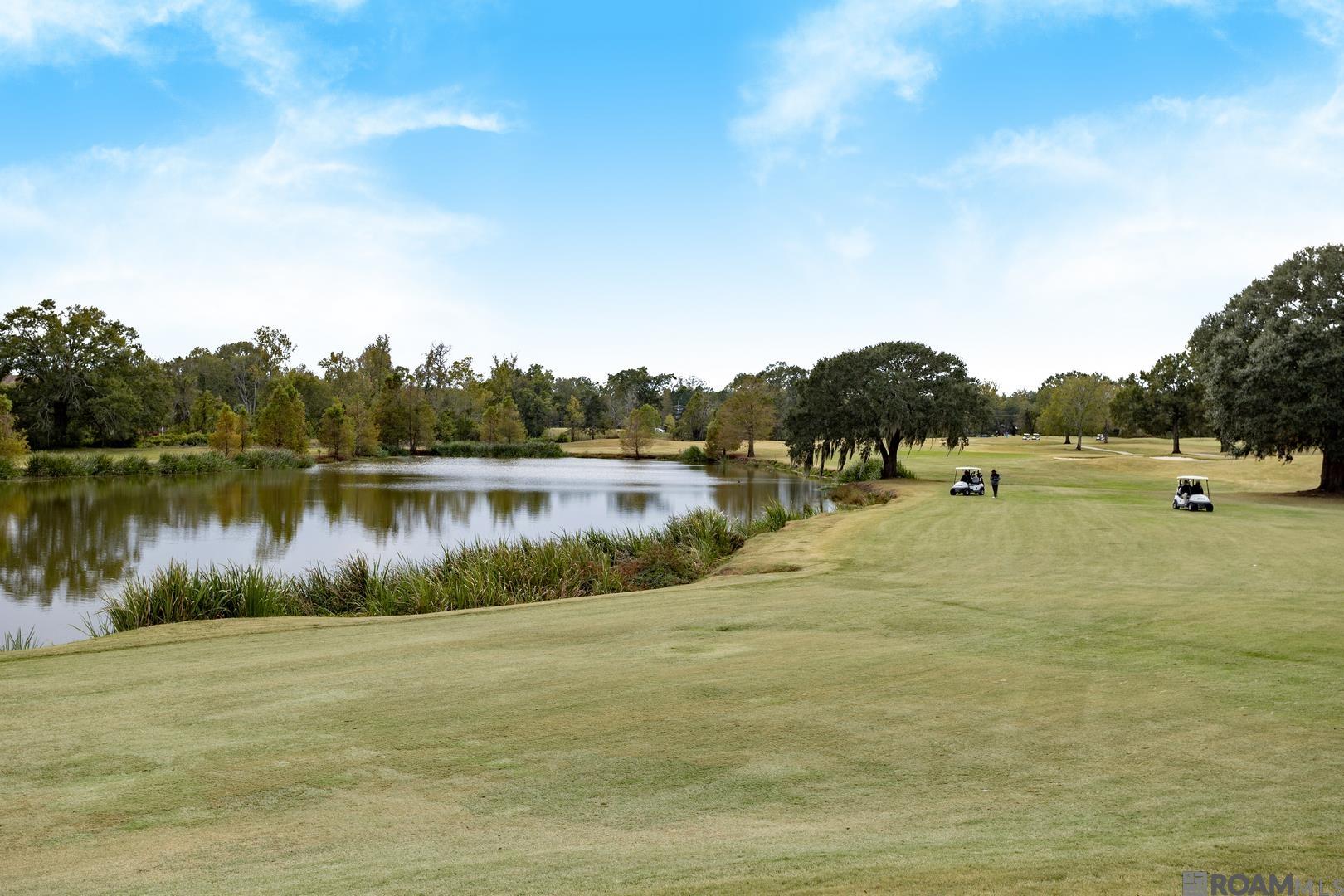 19437 Point O' Woods Ct, Baton Rouge, LA, 70809