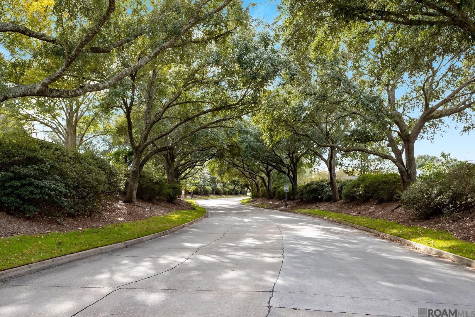 19437 Point O' Woods Ct, Baton Rouge, LA, 70809