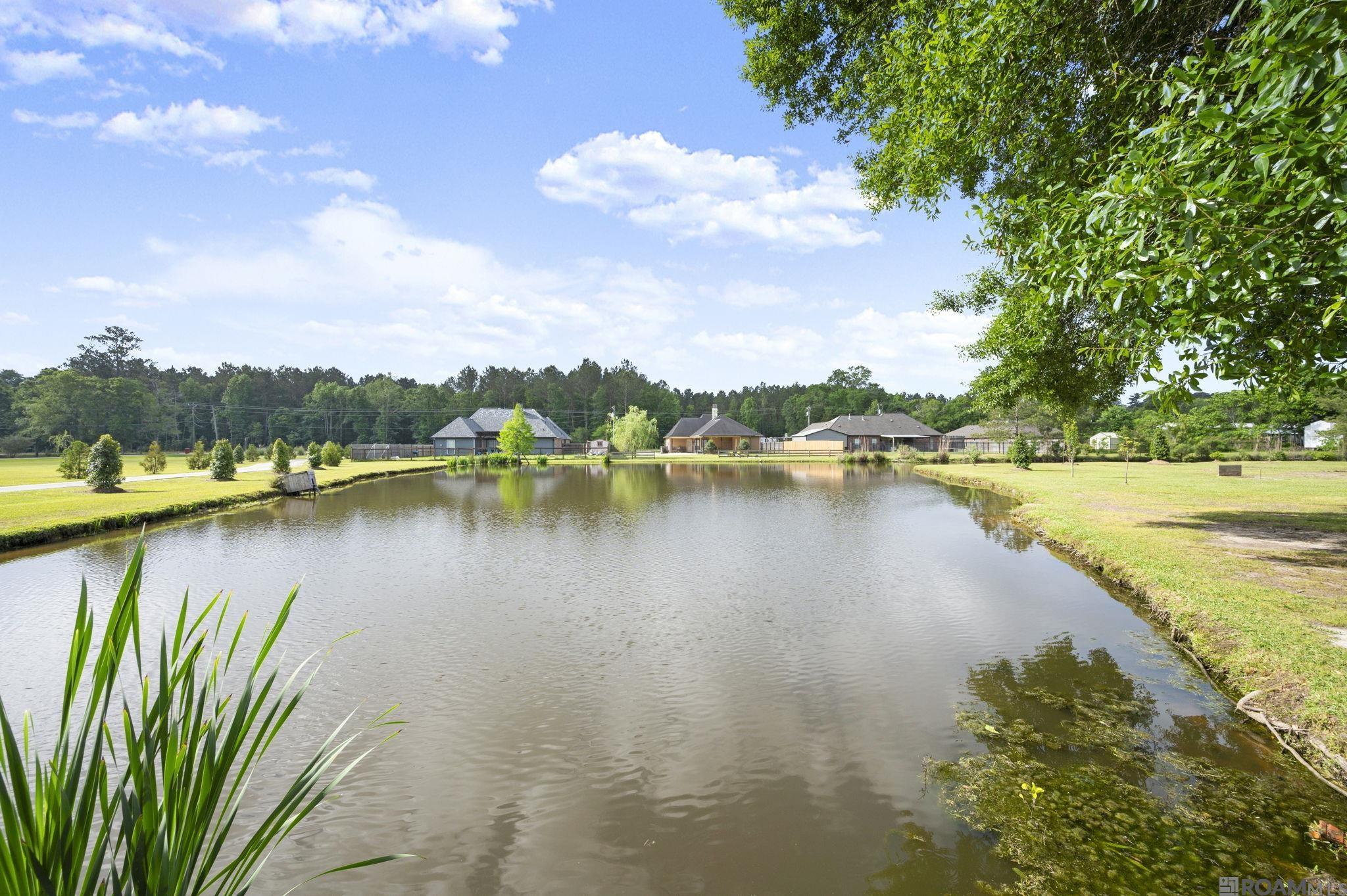 33798 Cane Market Rd, Walker, LA, 70785