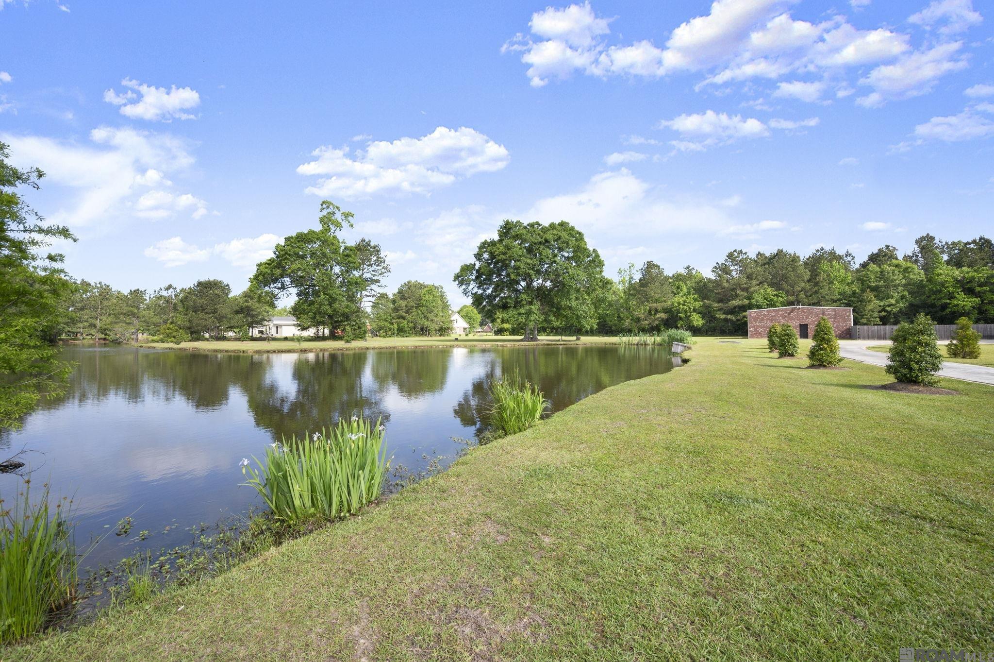 33798 Cane Market Rd, Walker, LA, 70785