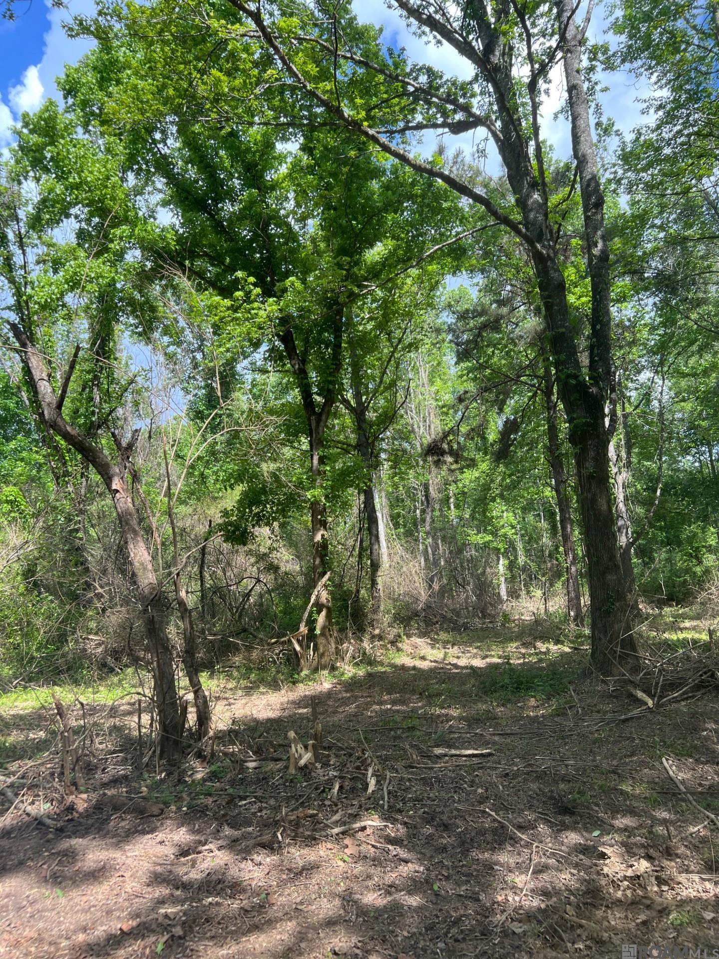 TBD Lemon B Rd, Slaughter, LA, 70777