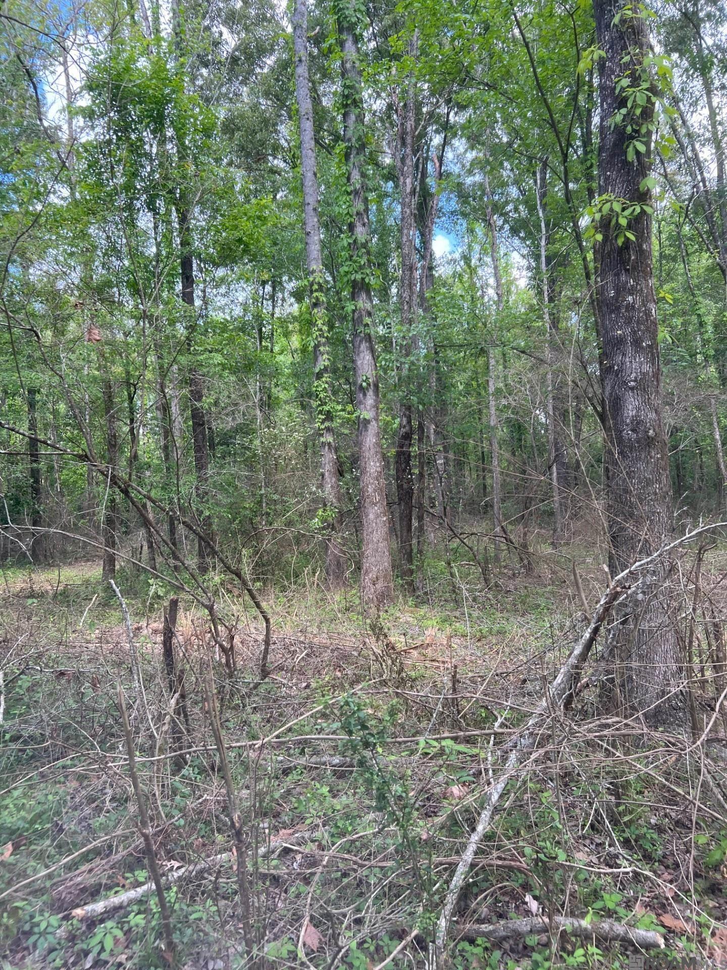 TBD Lemon B Rd, Slaughter, LA, 70777