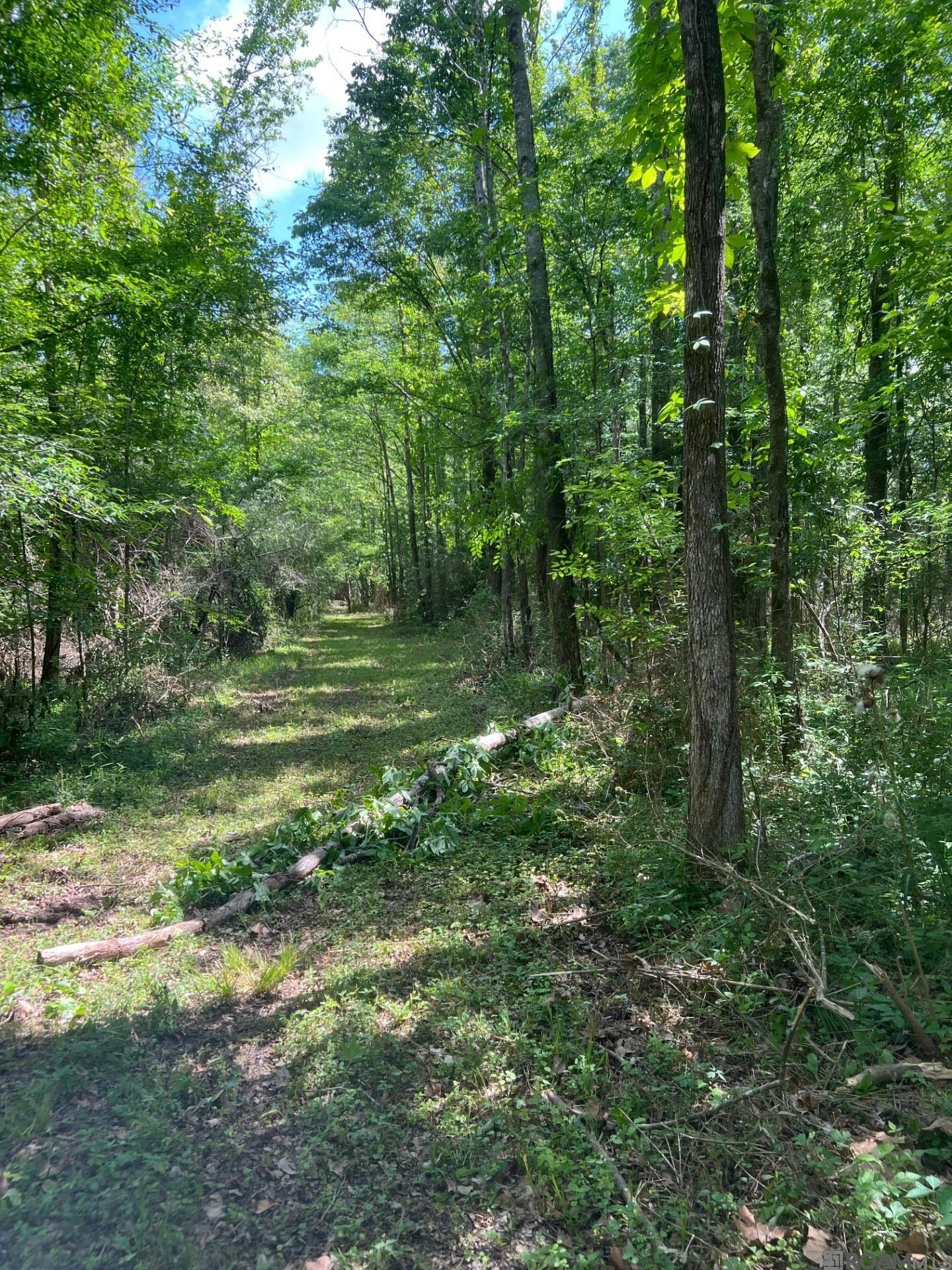 TBD Lemon B Rd, Slaughter, LA, 70777