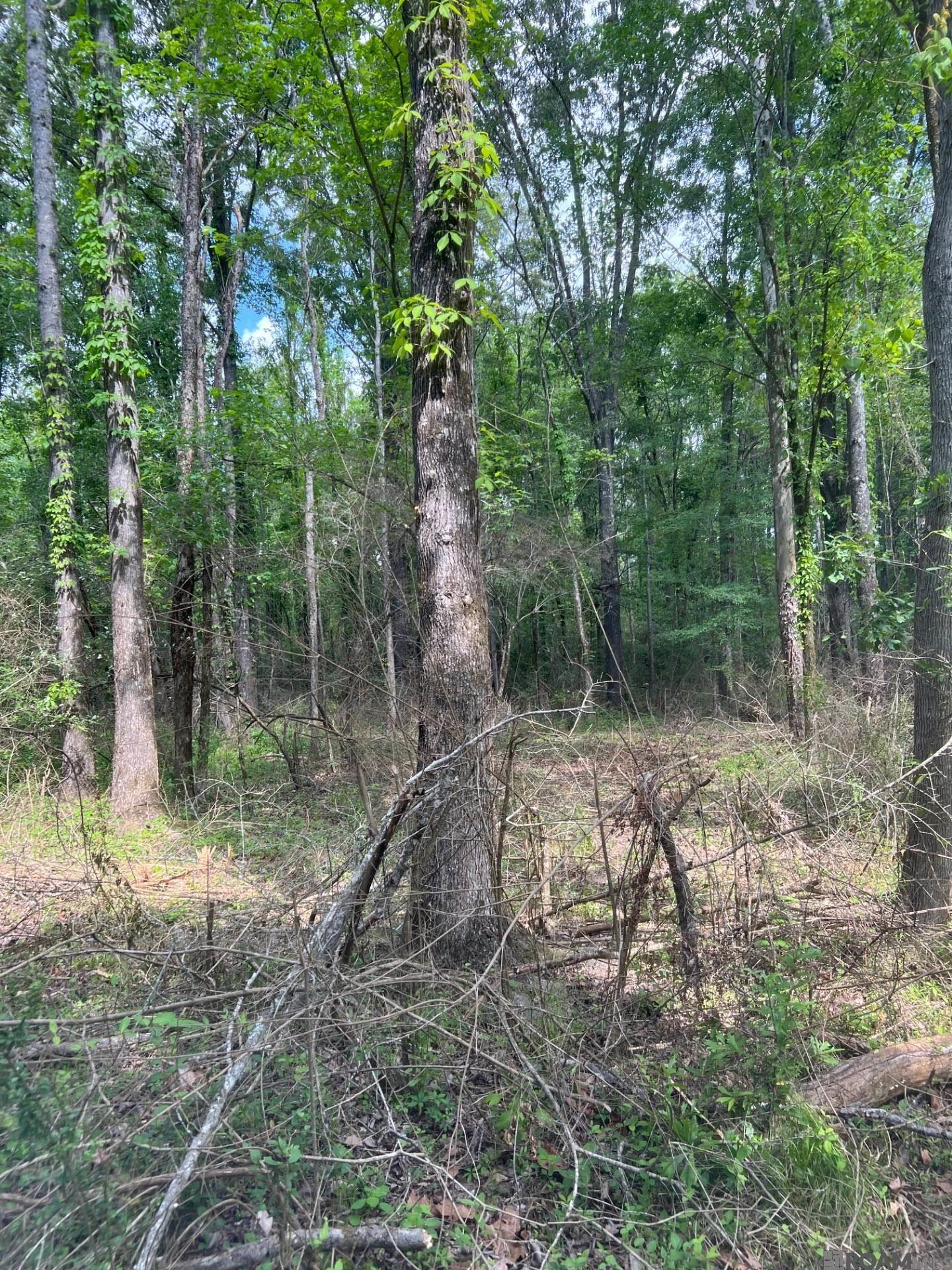 TBD Lemon B Rd, Slaughter, LA, 70777