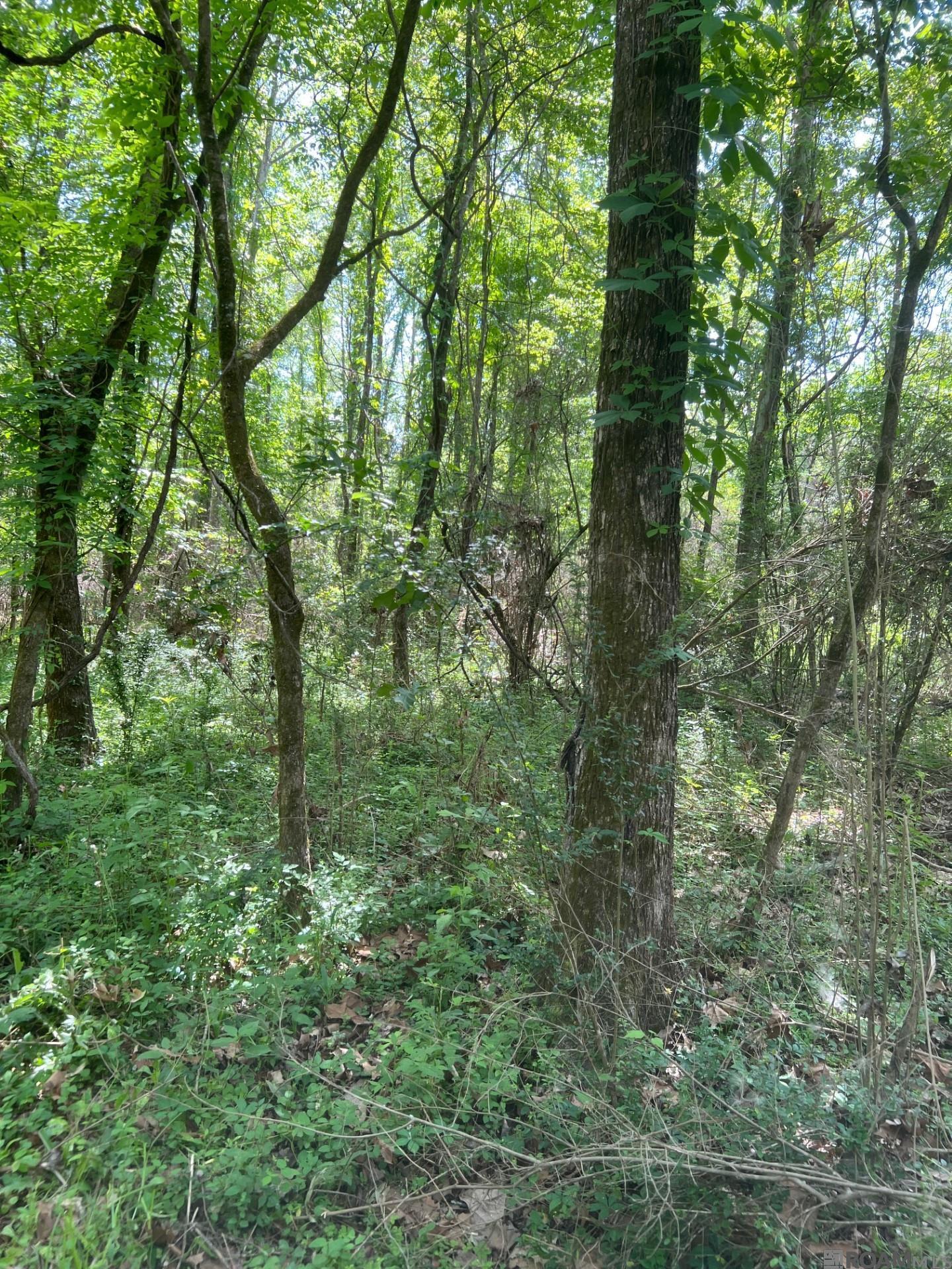 TBD Lemon B Rd, Slaughter, LA, 70777