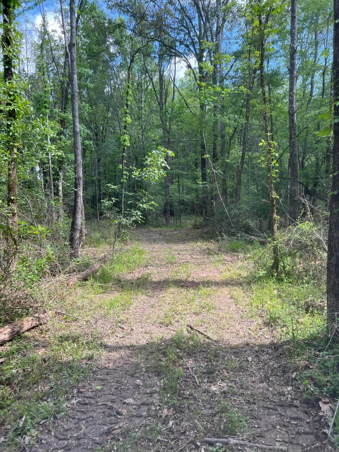 TBD Lemon B Rd, Slaughter, LA, 70777