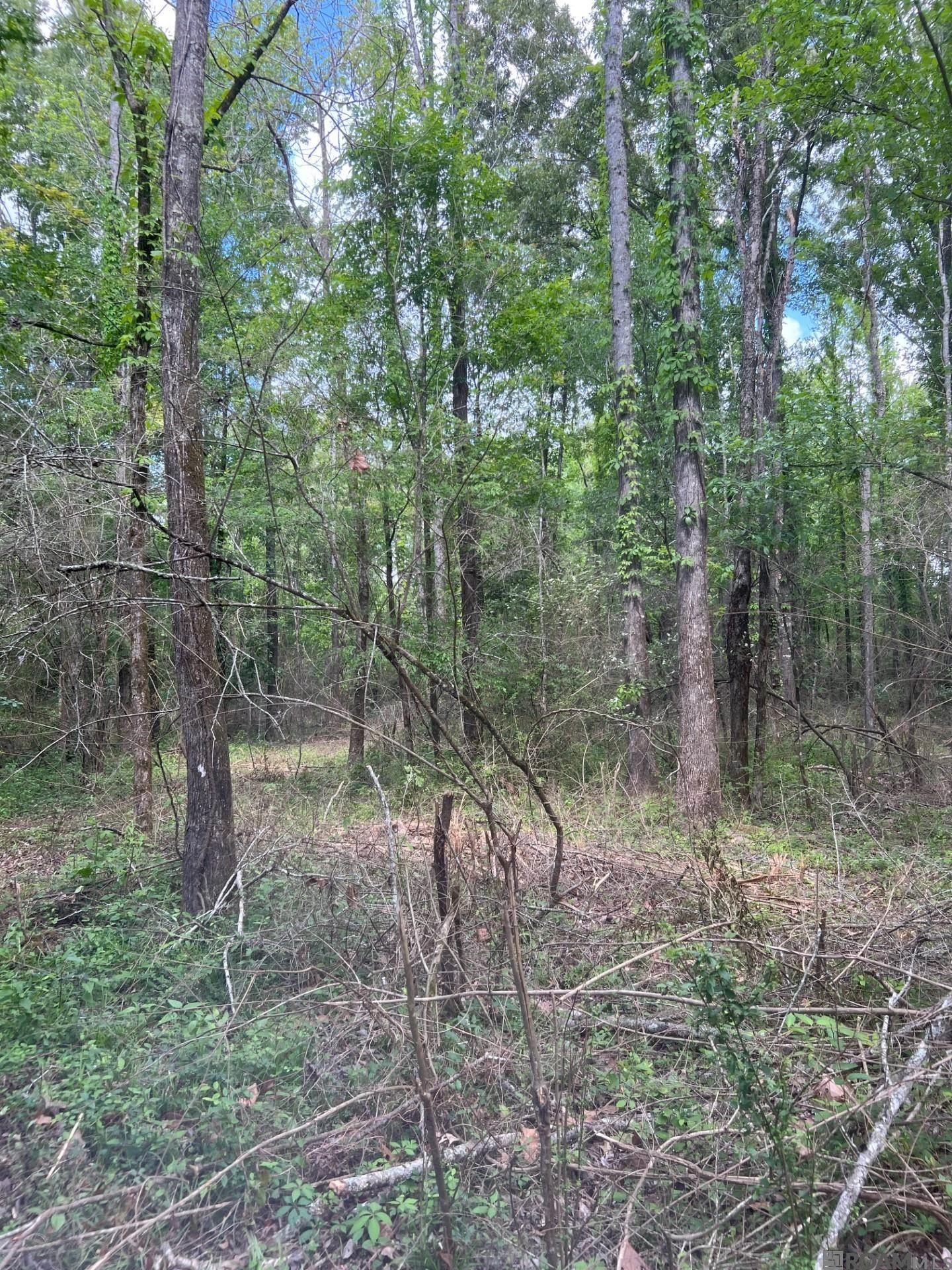 TBD Lemon B Rd, Slaughter, LA, 70777