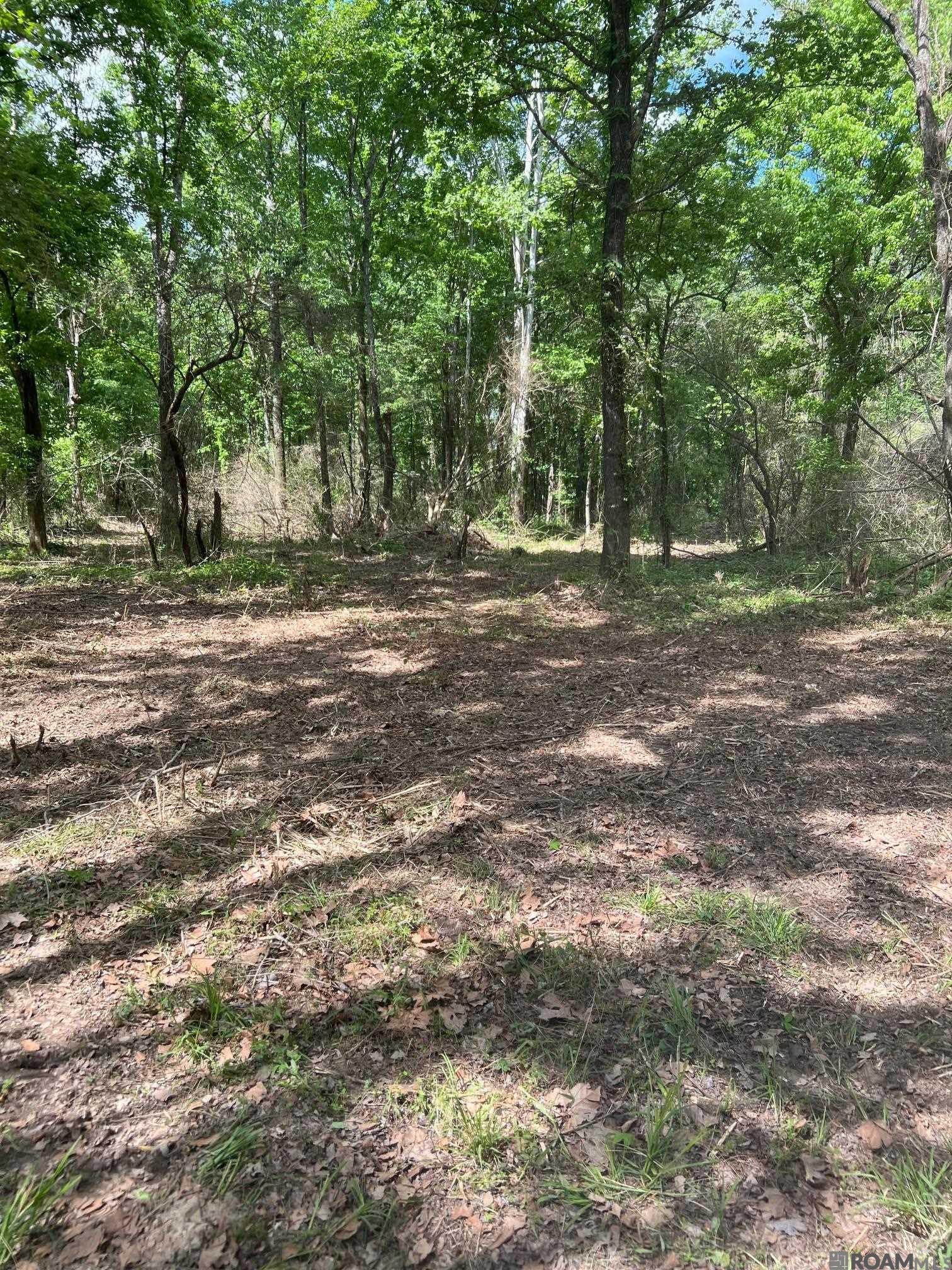 TBD Lemon B Rd, Slaughter, LA, 70777