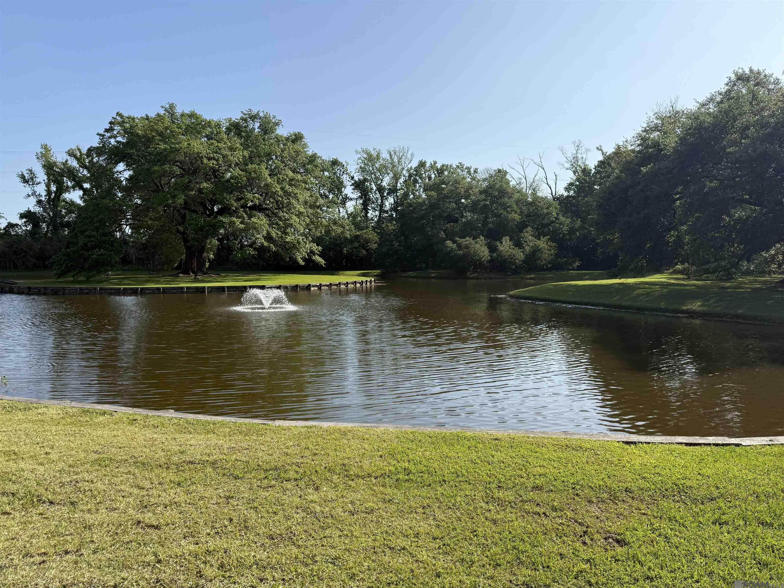 11706 Silo Dr, Baton Rouge, LA, 70810