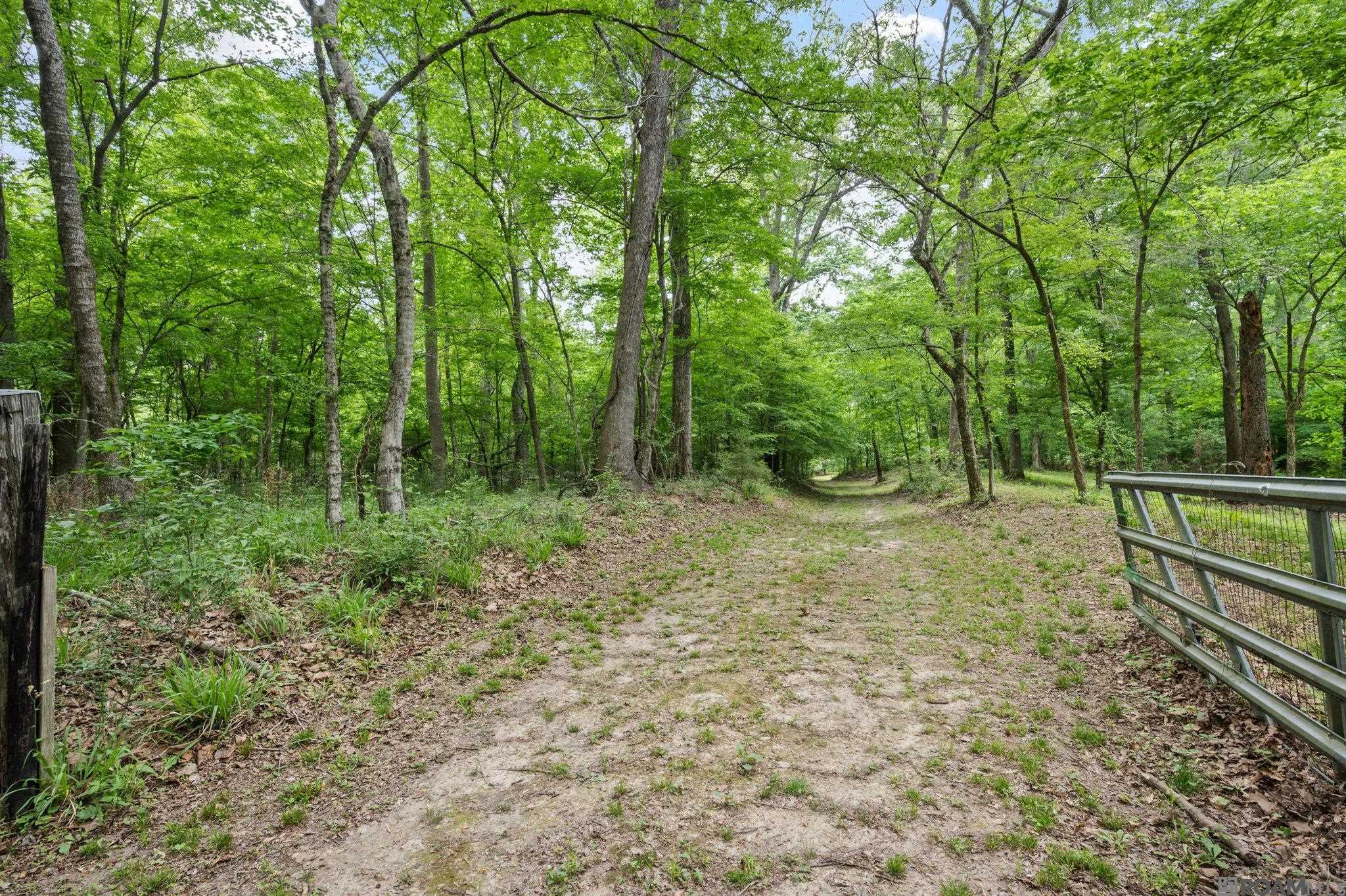 9836 Sligo Rd, St Francisville, LA, 70775