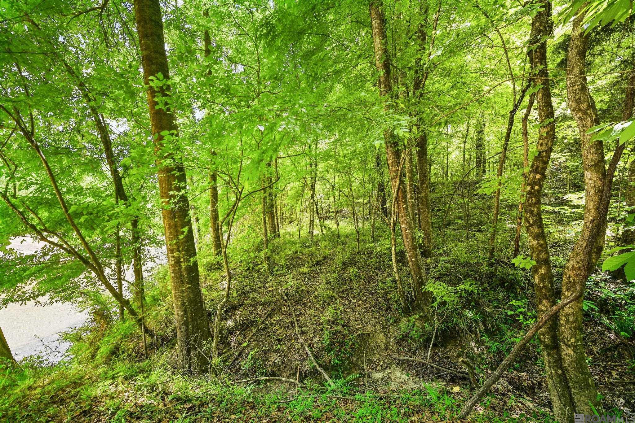 9836 Sligo Rd, St Francisville, LA, 70775