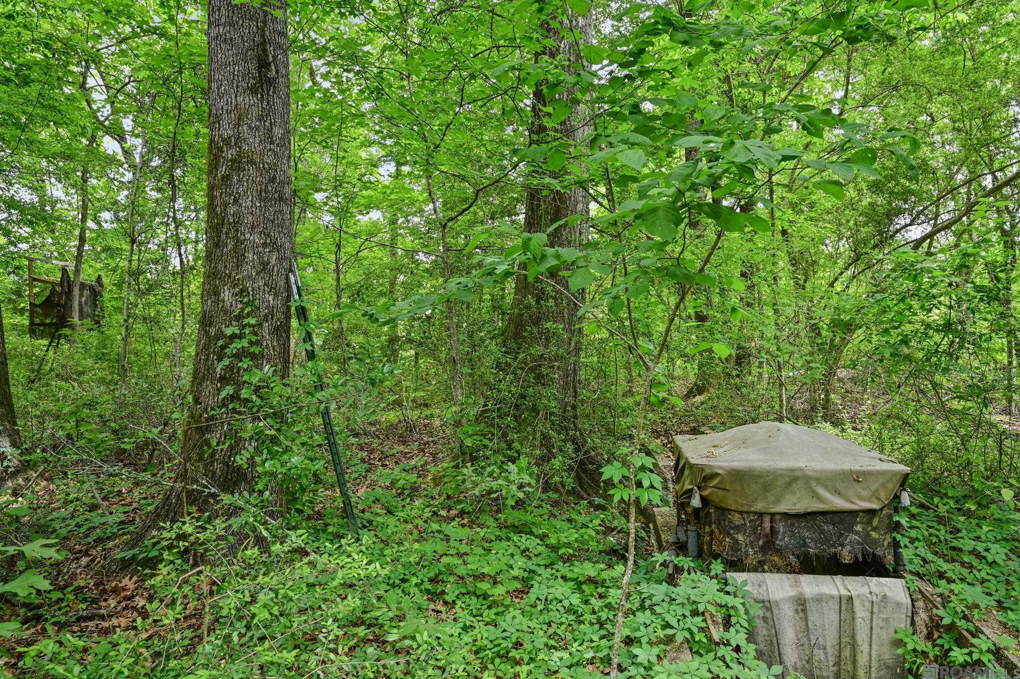 9836 Sligo Rd, St Francisville, LA, 70775