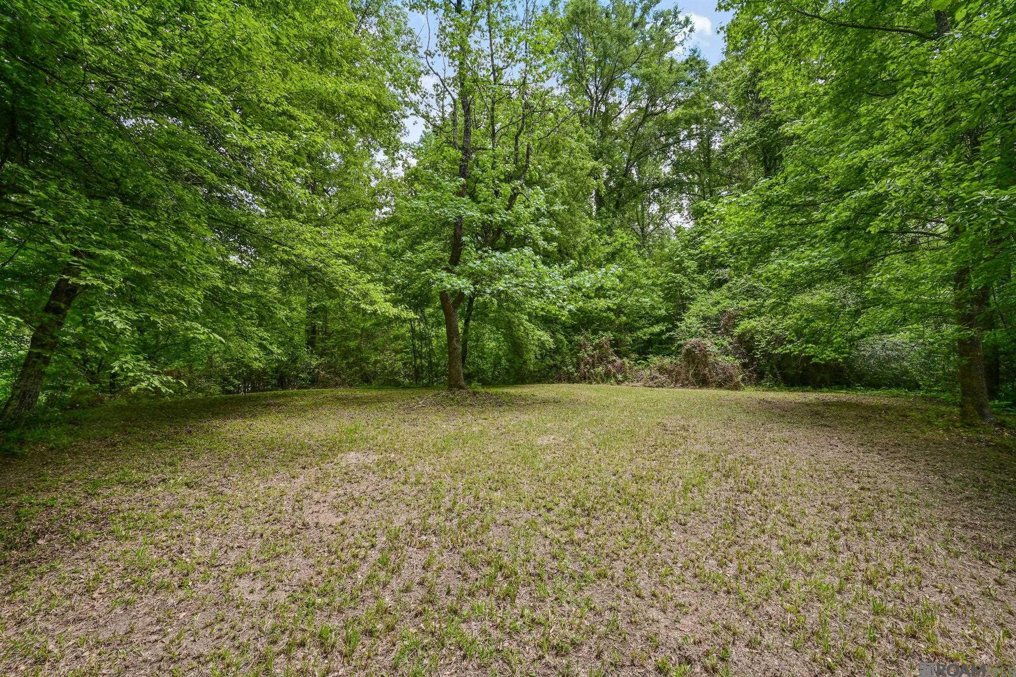 9836 Sligo Rd, St Francisville, LA, 70775