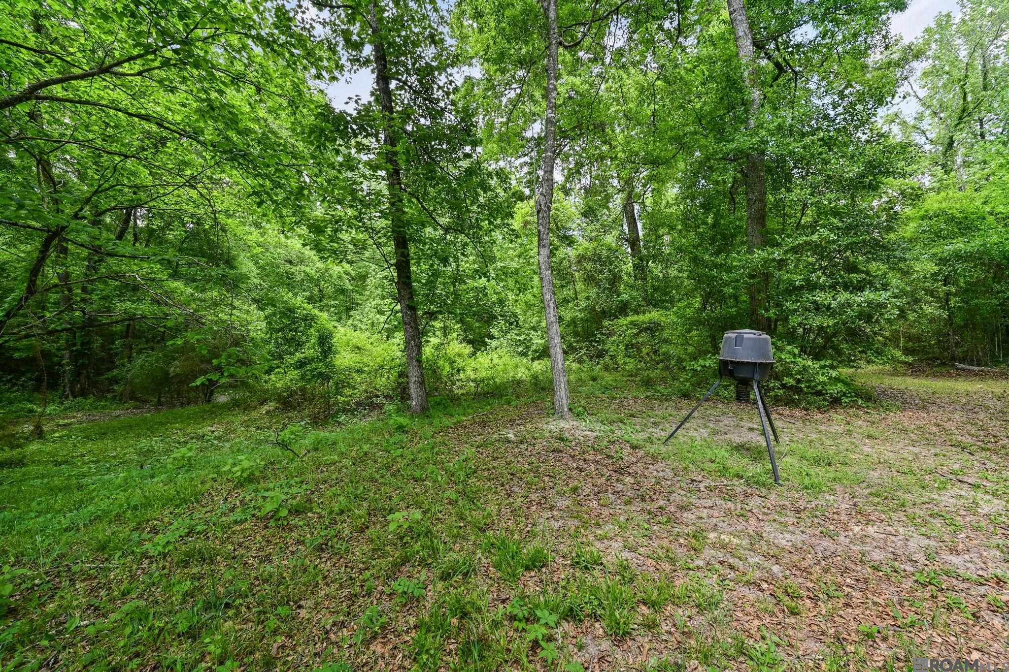 9836 Sligo Rd, St Francisville, LA, 70775