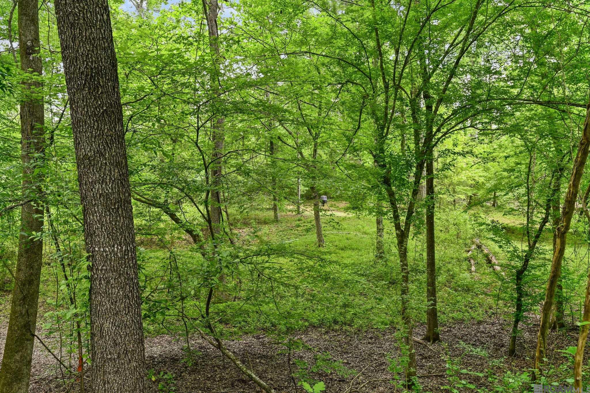 9836 Sligo Rd, St Francisville, LA, 70775