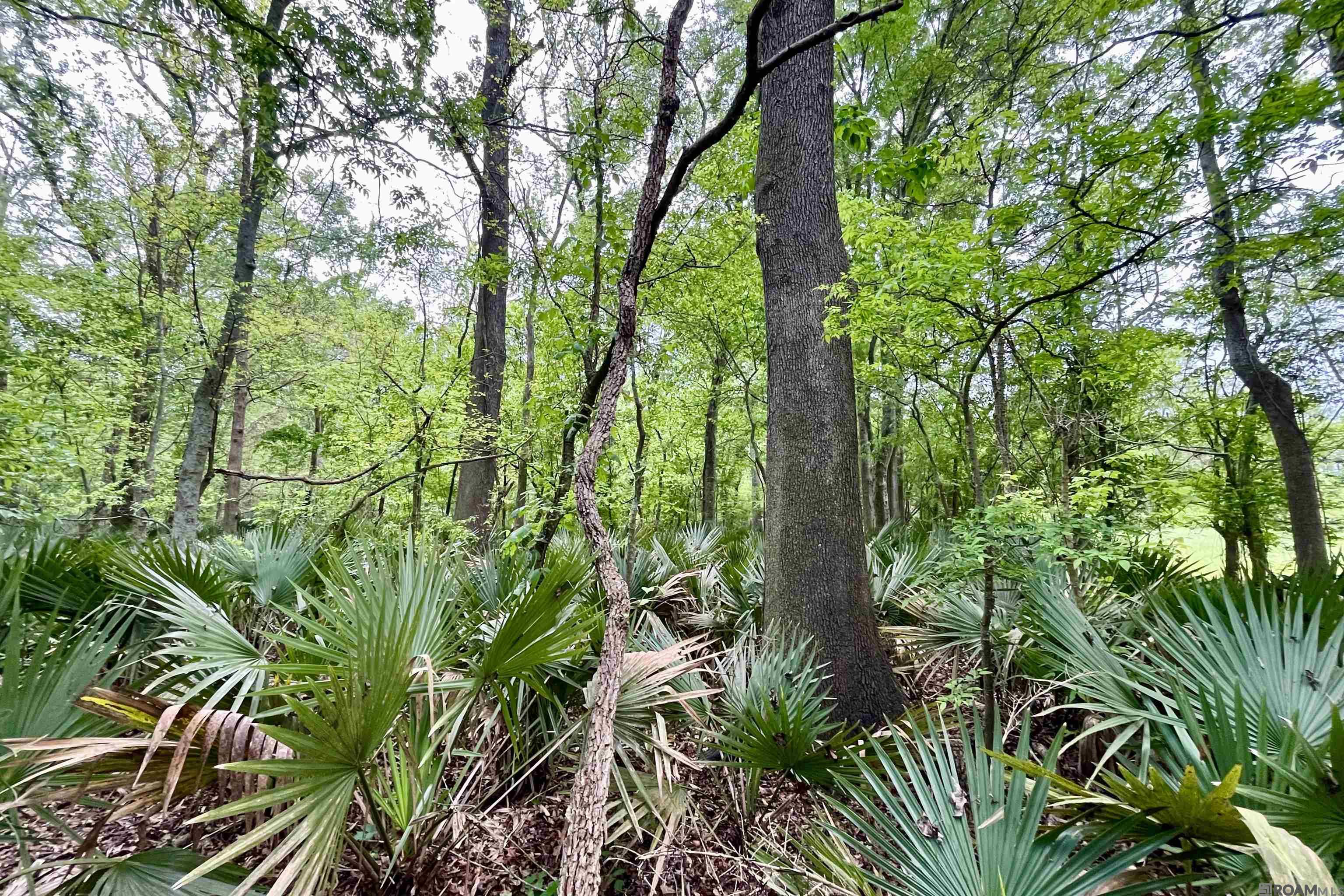 05 La Hwy 74, St Gabriel, LA, 70776