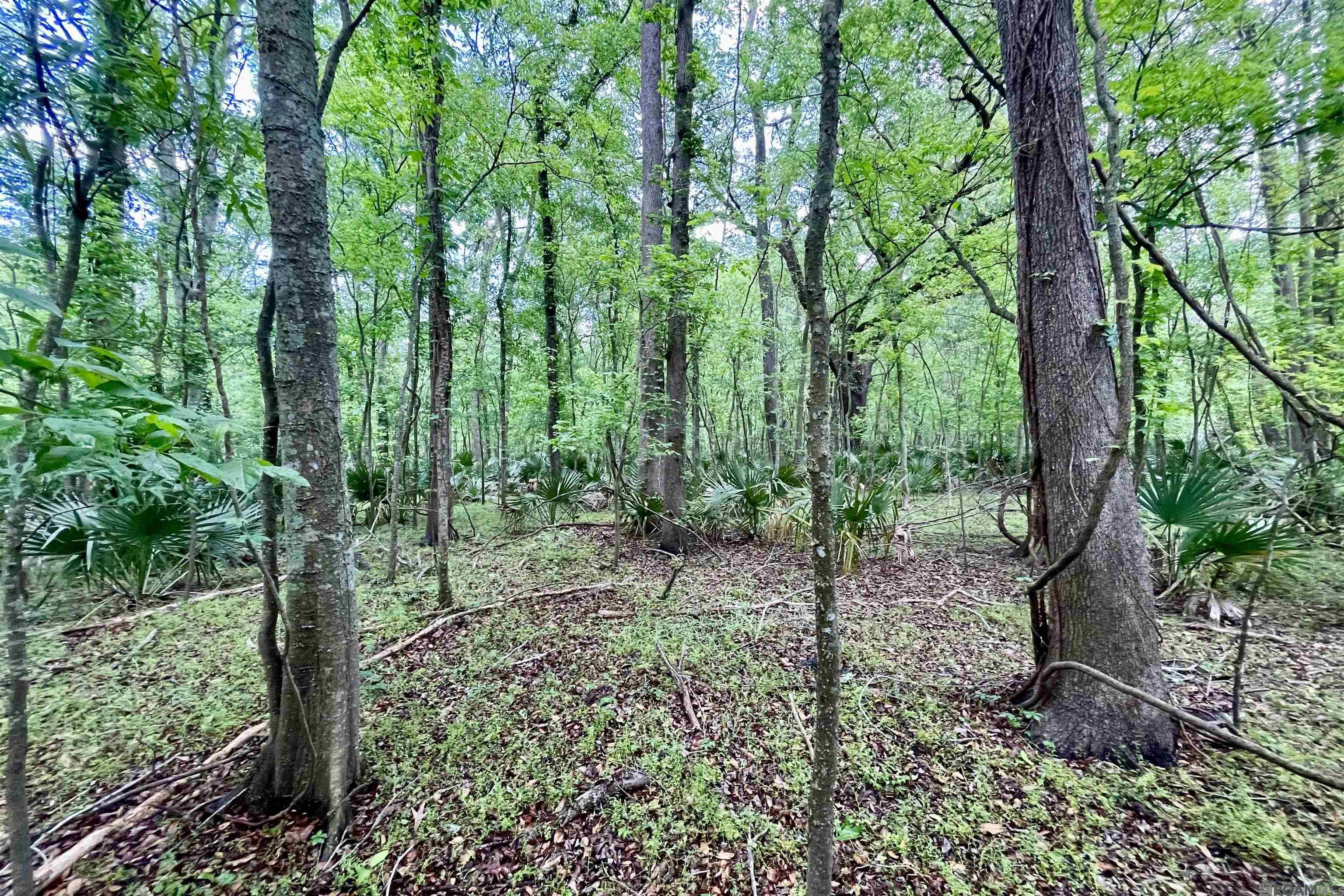 05 La Hwy 74, St Gabriel, LA, 70776