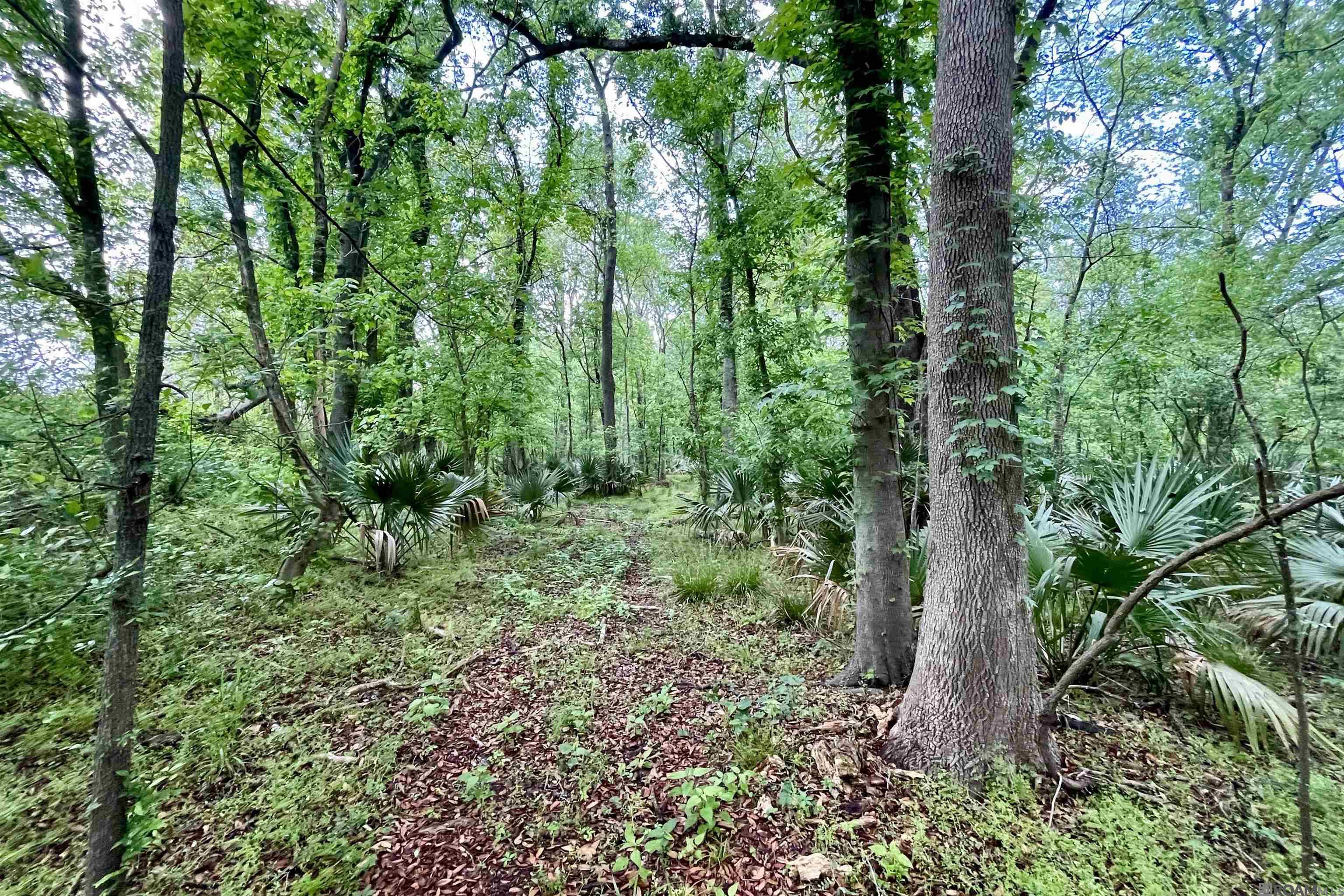 05 La Hwy 74, St Gabriel, LA, 70776