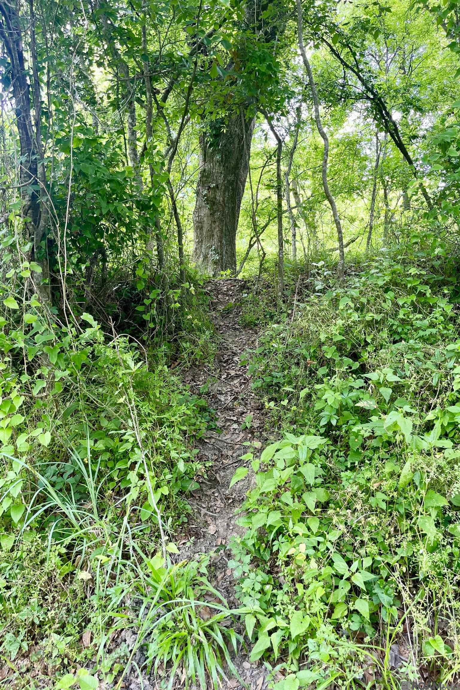 05 La Hwy 74, St Gabriel, LA, 70776