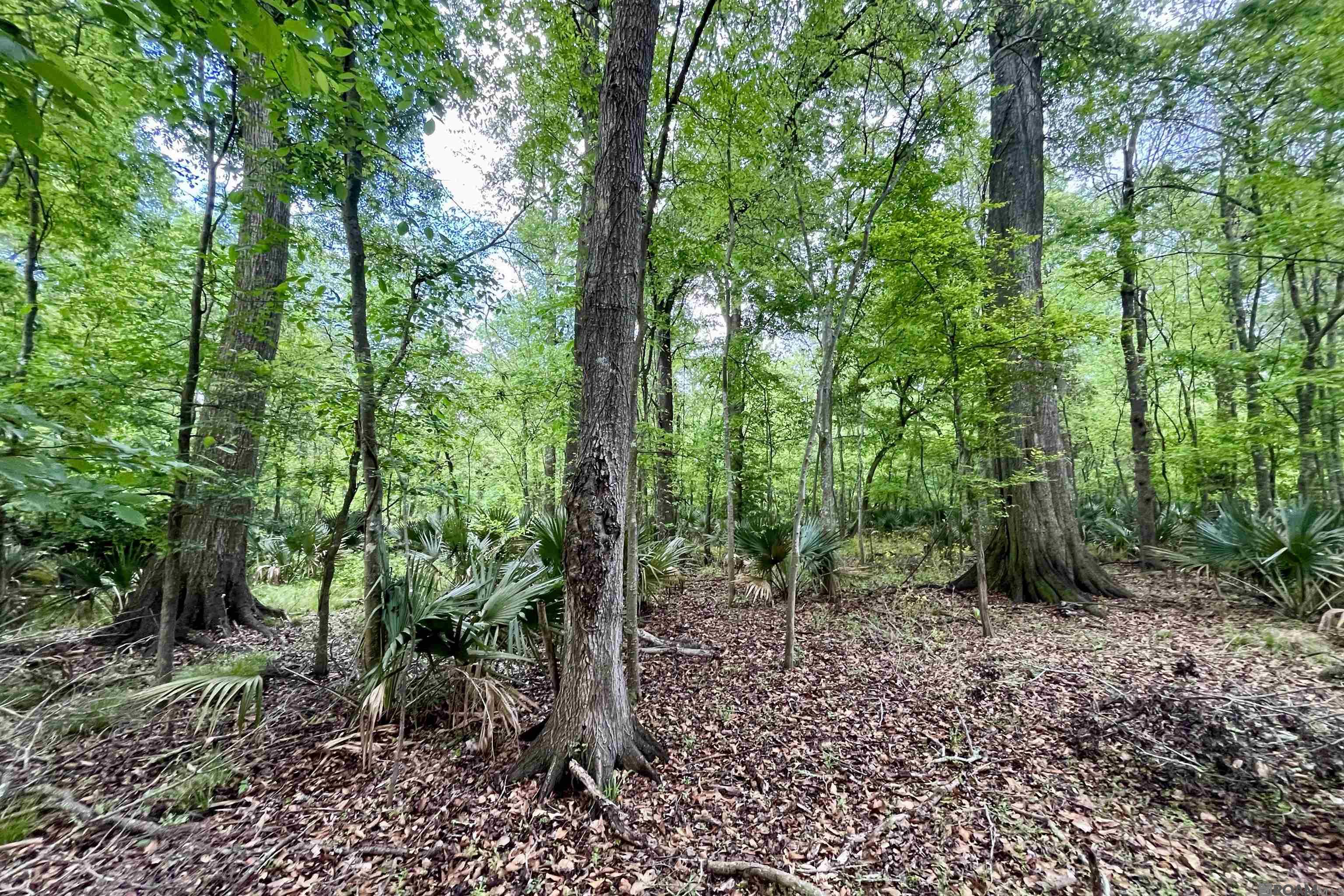 05 La Hwy 74, St Gabriel, LA, 70776