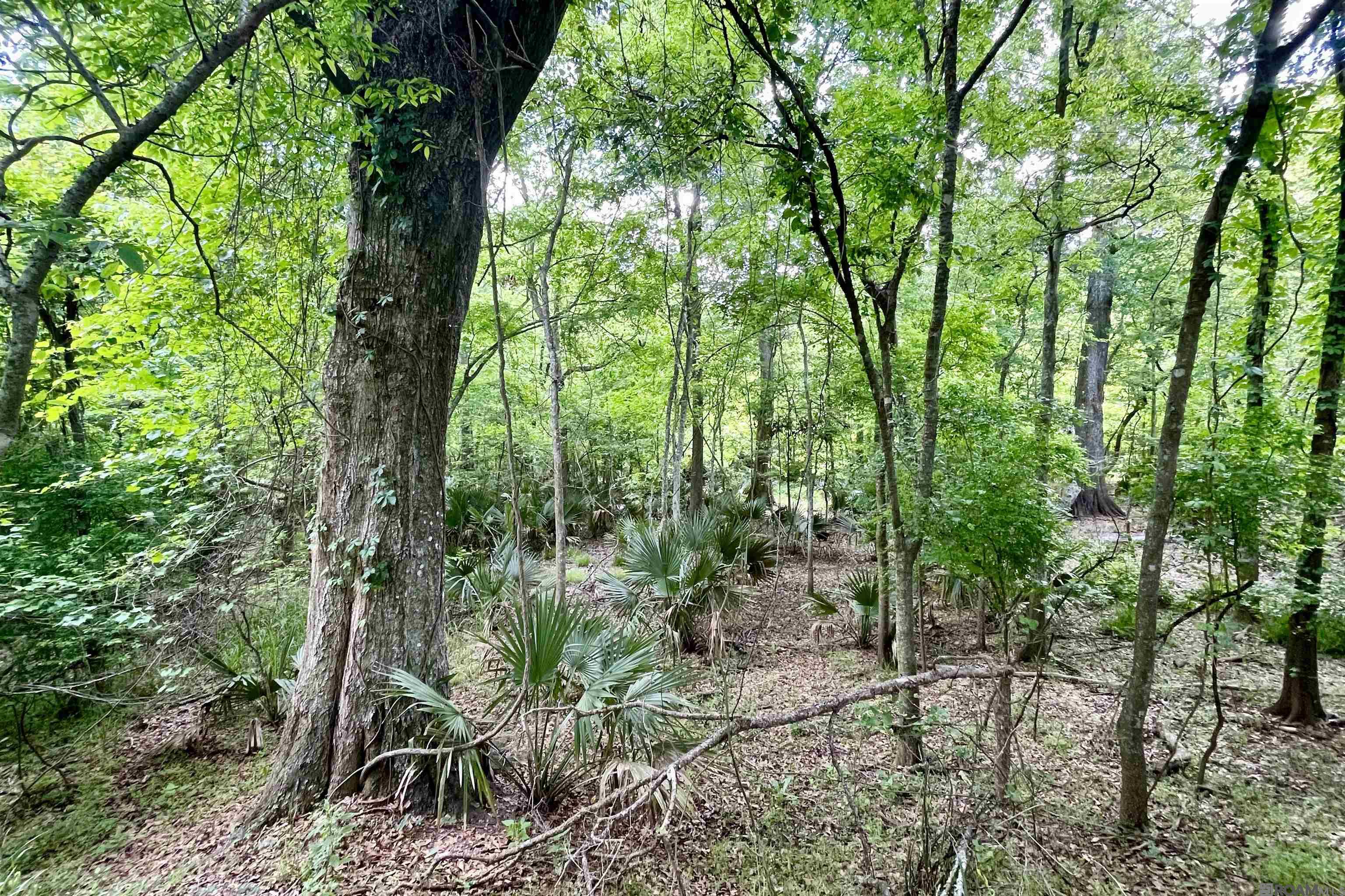 05 La Hwy 74, St Gabriel, LA, 70776