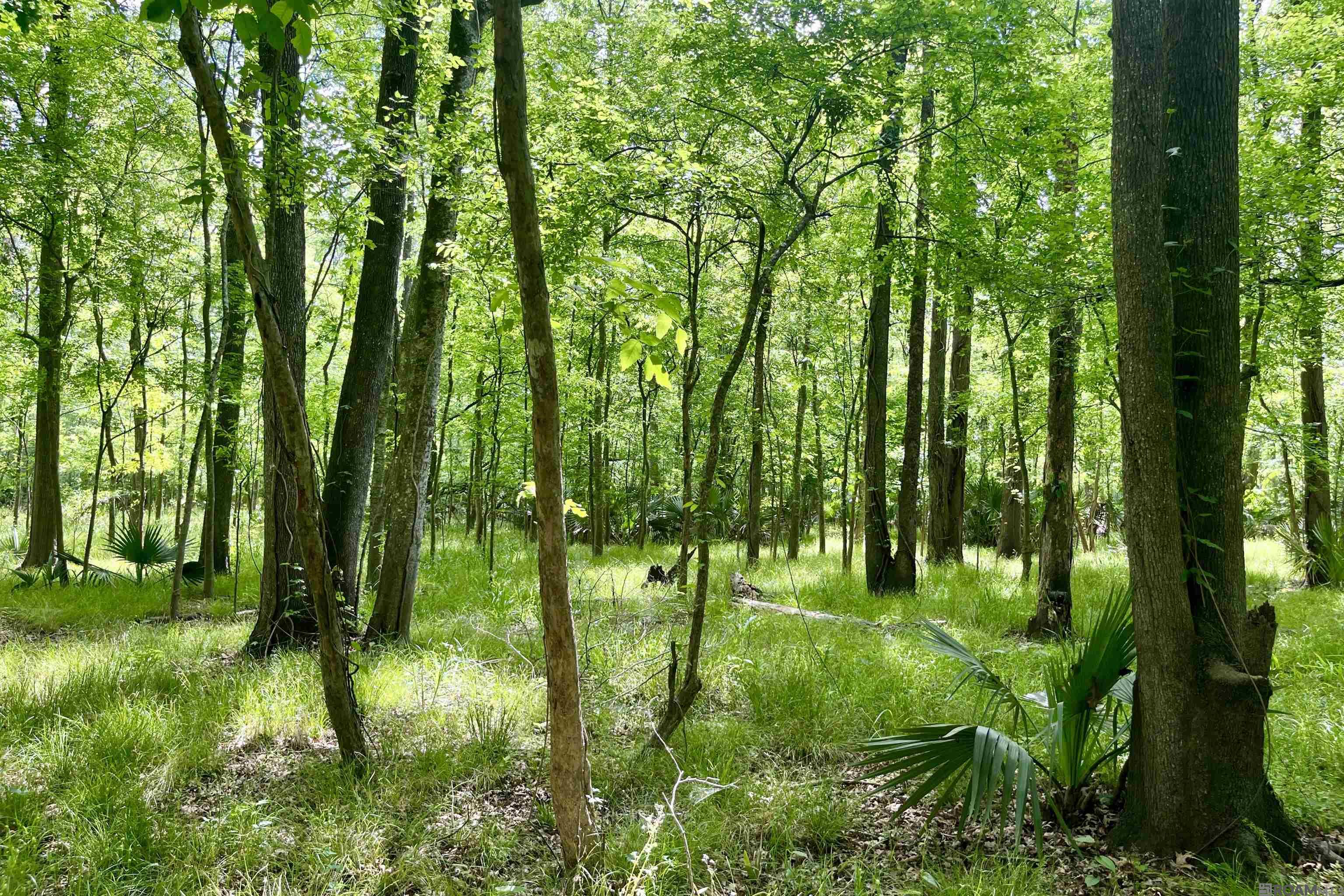 05 La Hwy 74, St Gabriel, LA, 70776