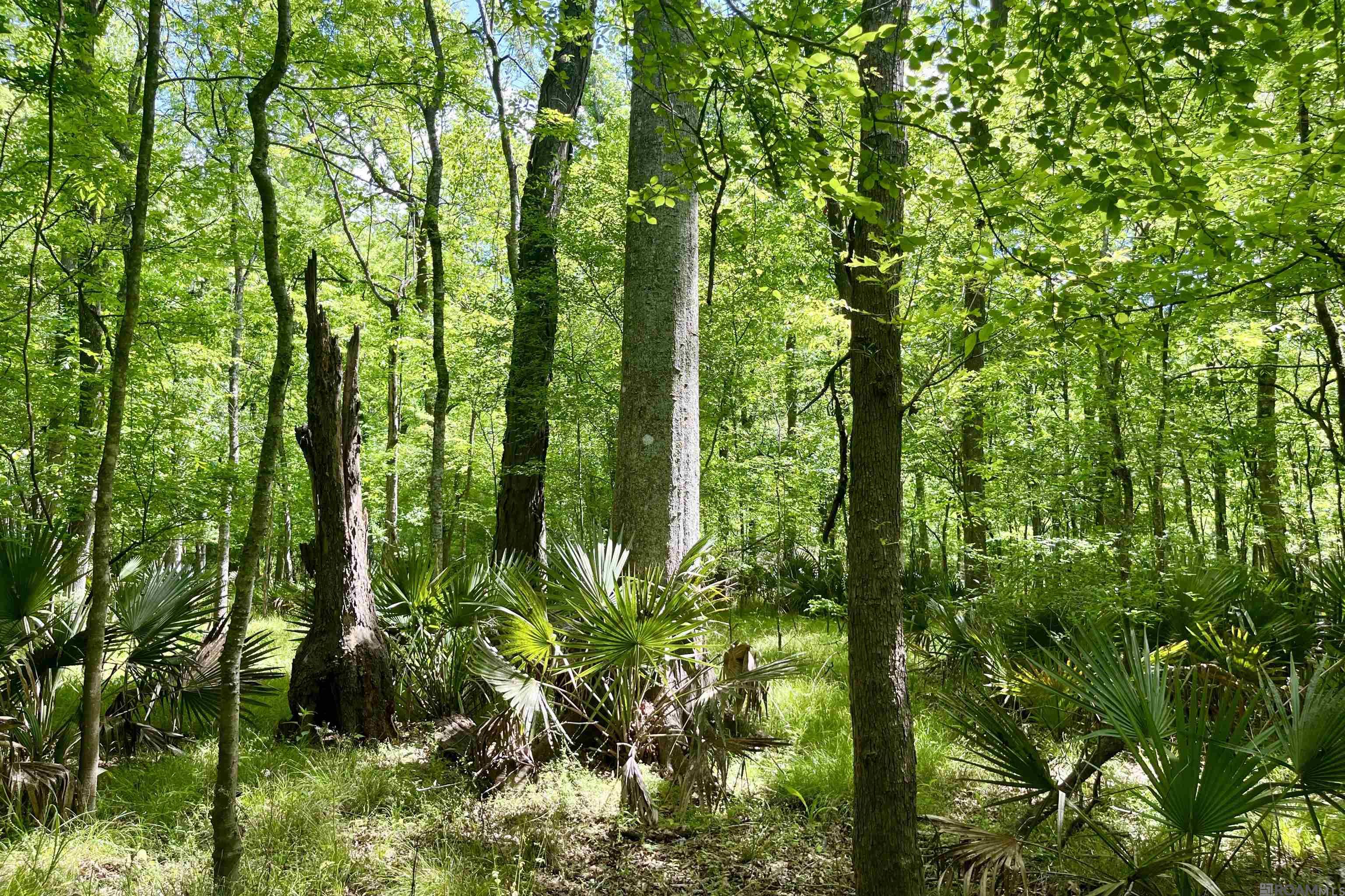 05 La Hwy 74, St Gabriel, LA, 70776