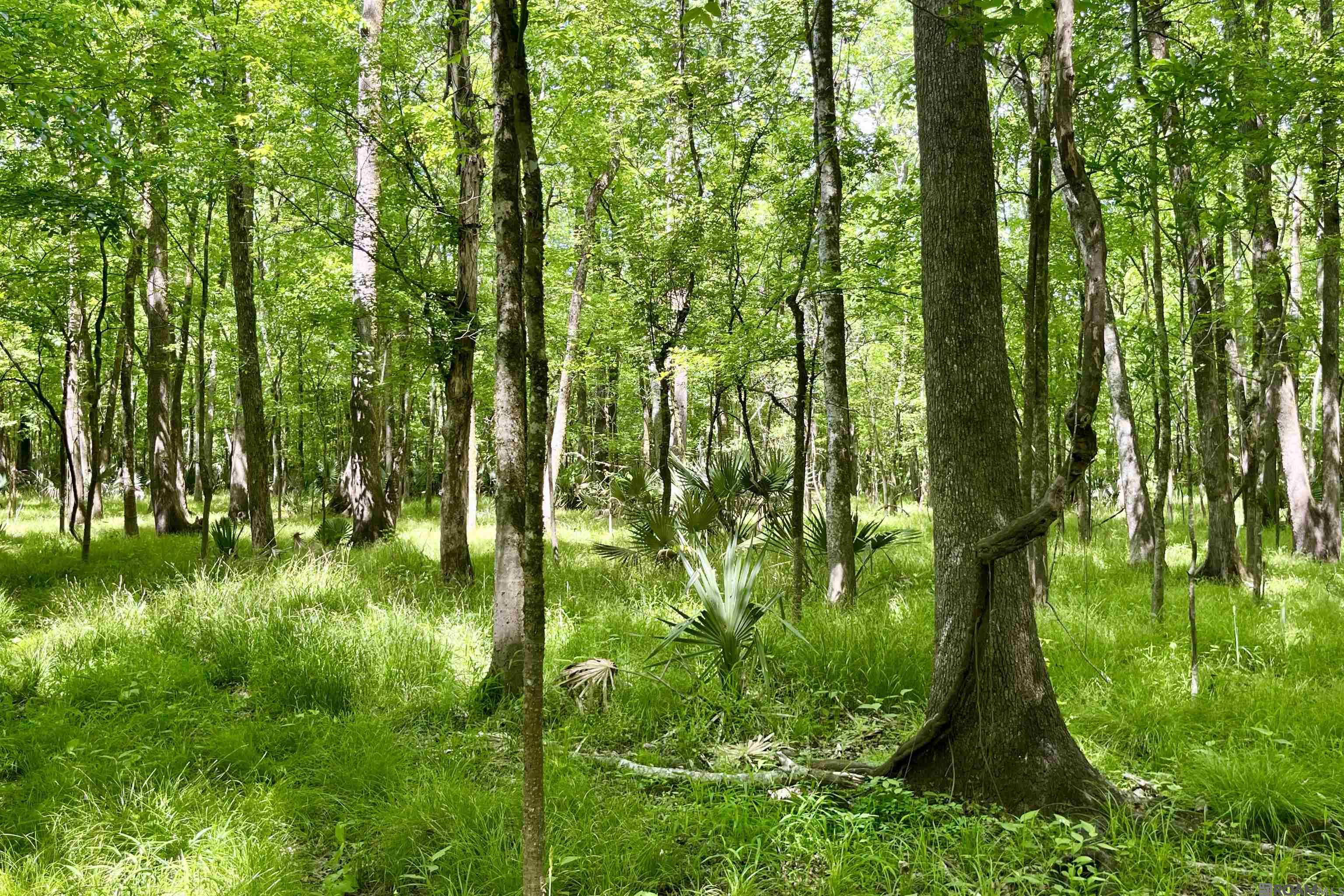 05 La Hwy 74, St Gabriel, LA, 70776