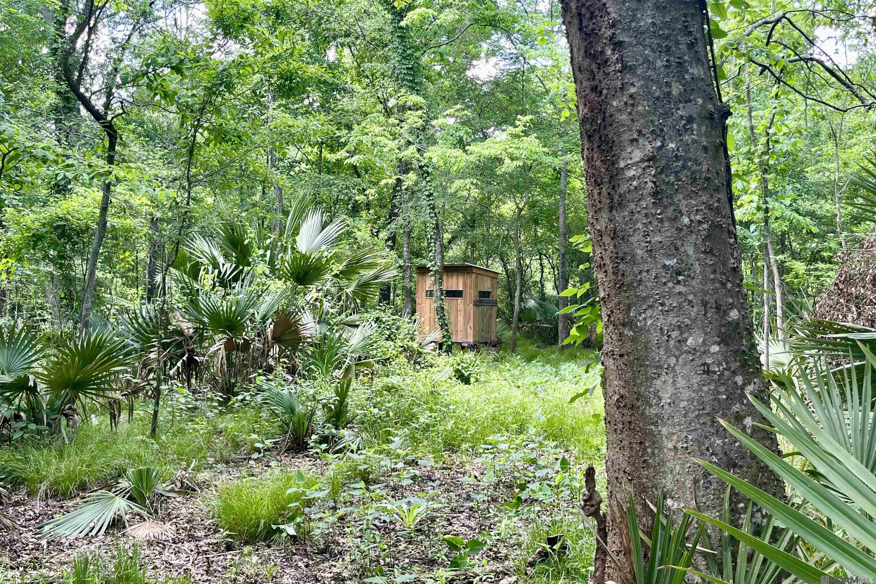 05 La Hwy 74, St Gabriel, LA, 70776