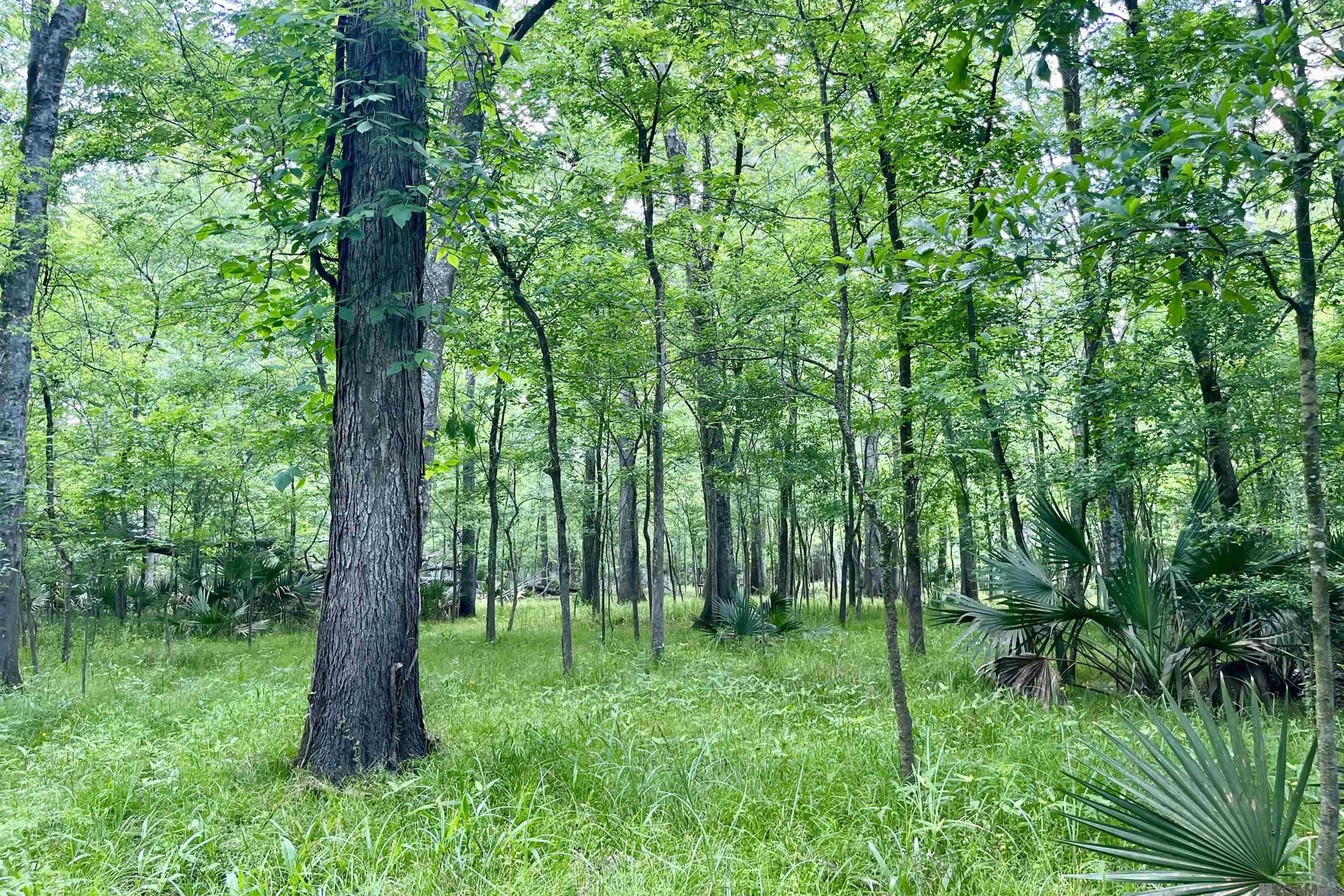 05 La Hwy 74, St Gabriel, LA, 70776