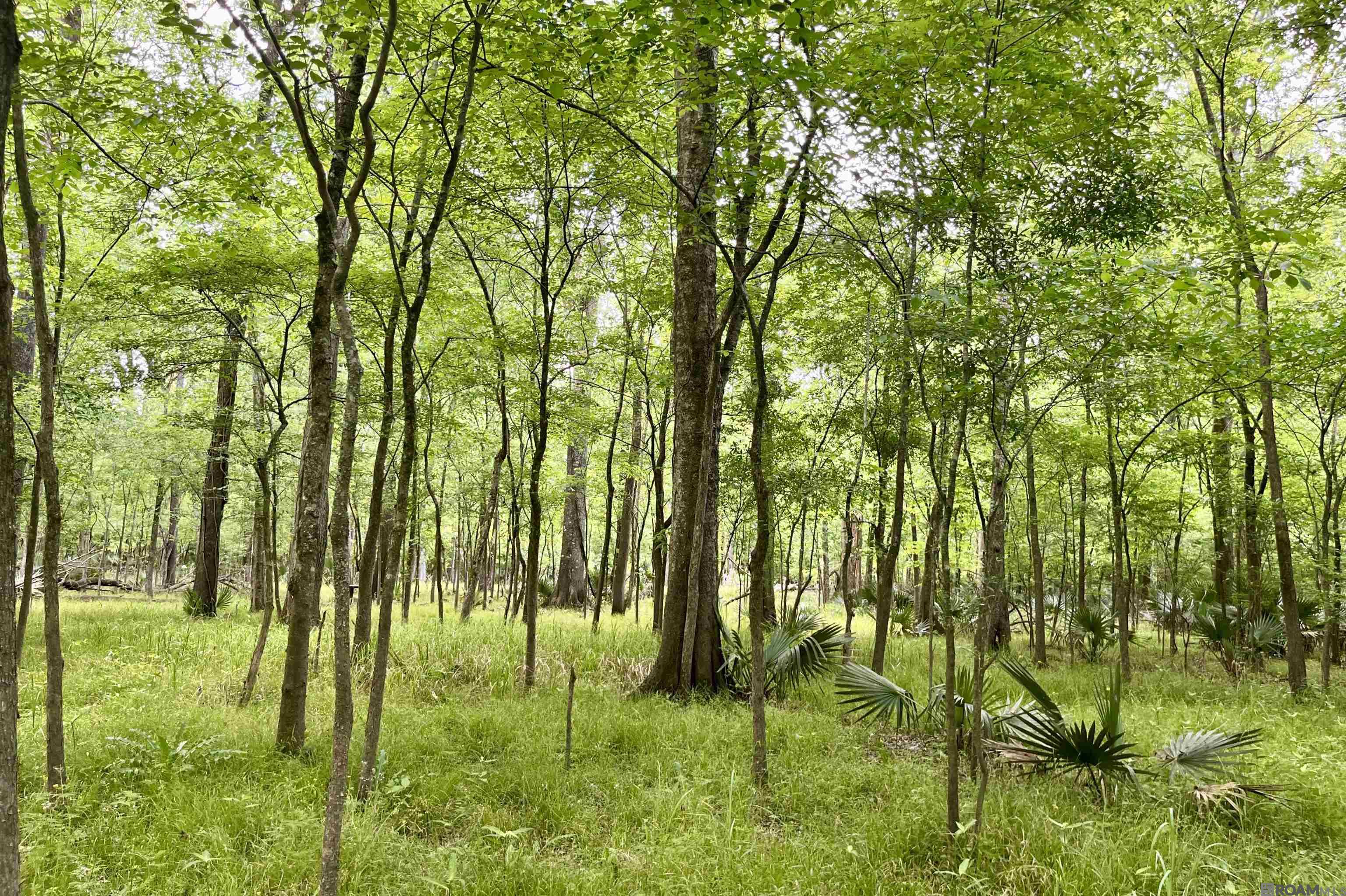 05 La Hwy 74, St Gabriel, LA, 70776